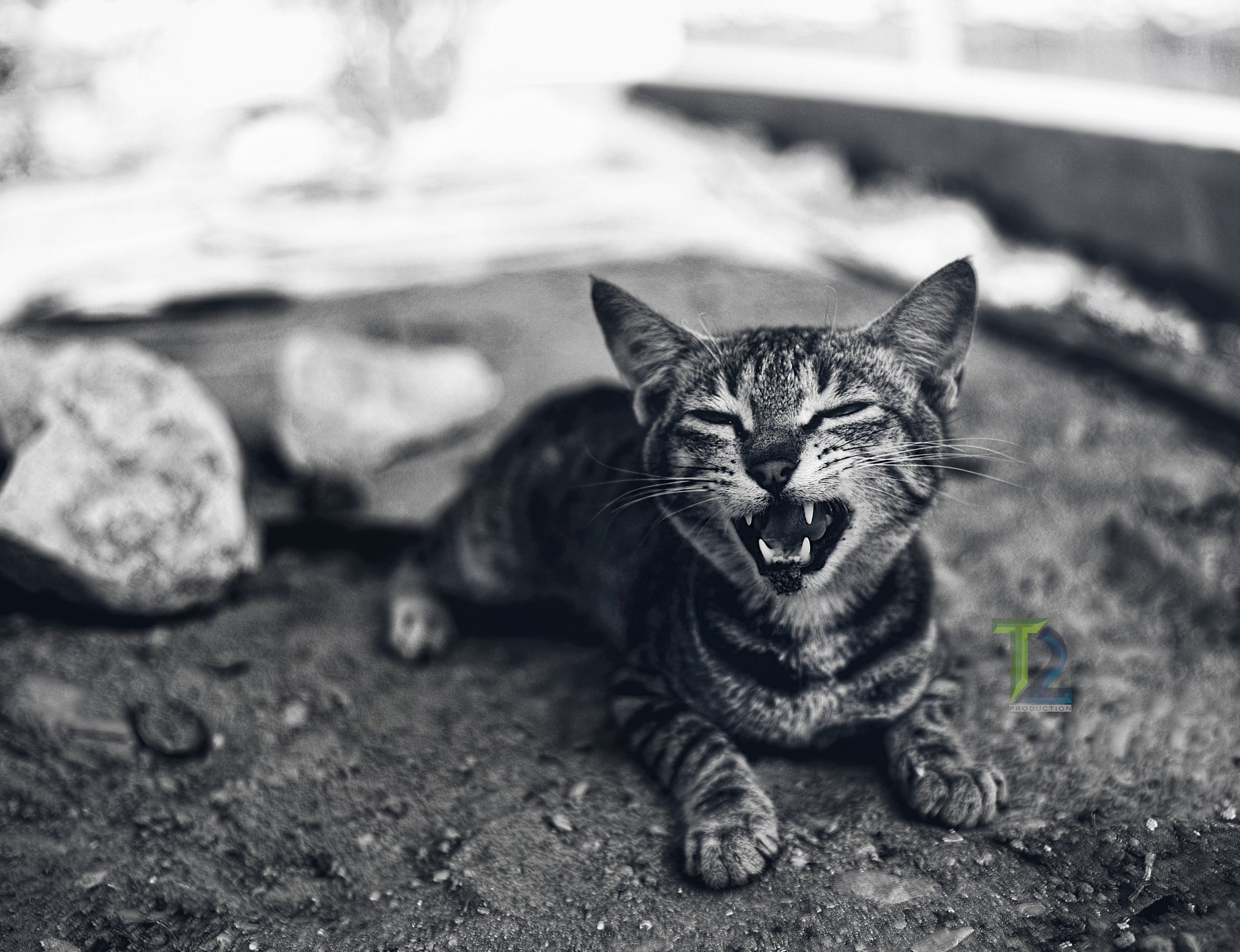 Summicron-M 1:2/35 ASPH. sample photo. Yes photography