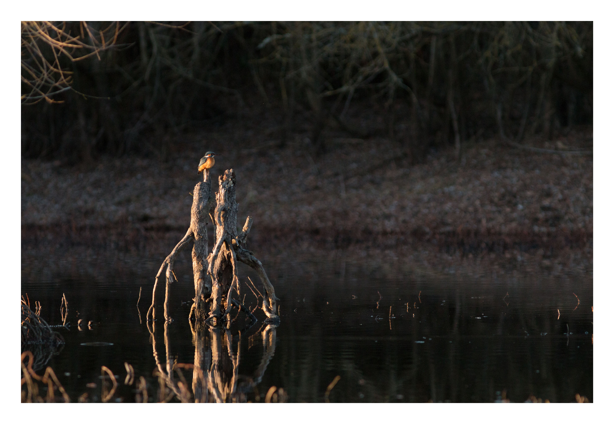 Canon EOS 70D sample photo. Tour de contrôle photography