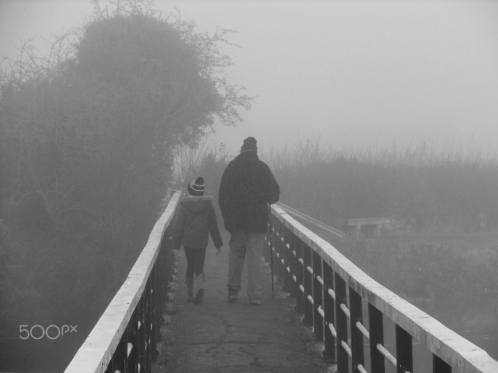 Nikon Coolpix S6100 sample photo. Bridge in the mist photography