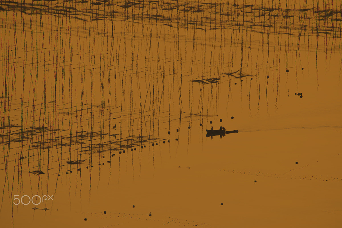 Nikon D800 sample photo. Fujian-xiapu photography
