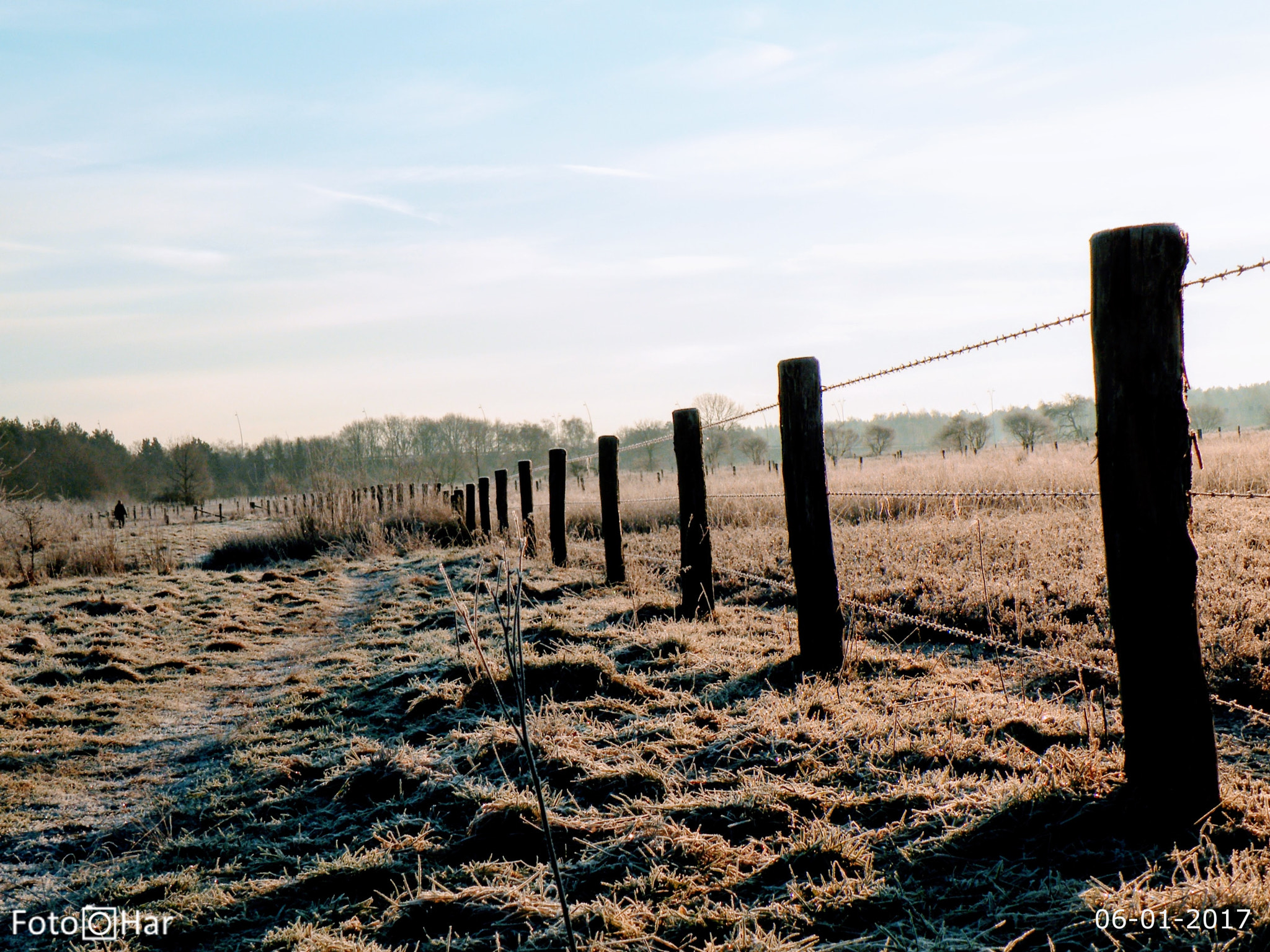 Fujifilm FinePix S8100fd sample photo. Meadow photography