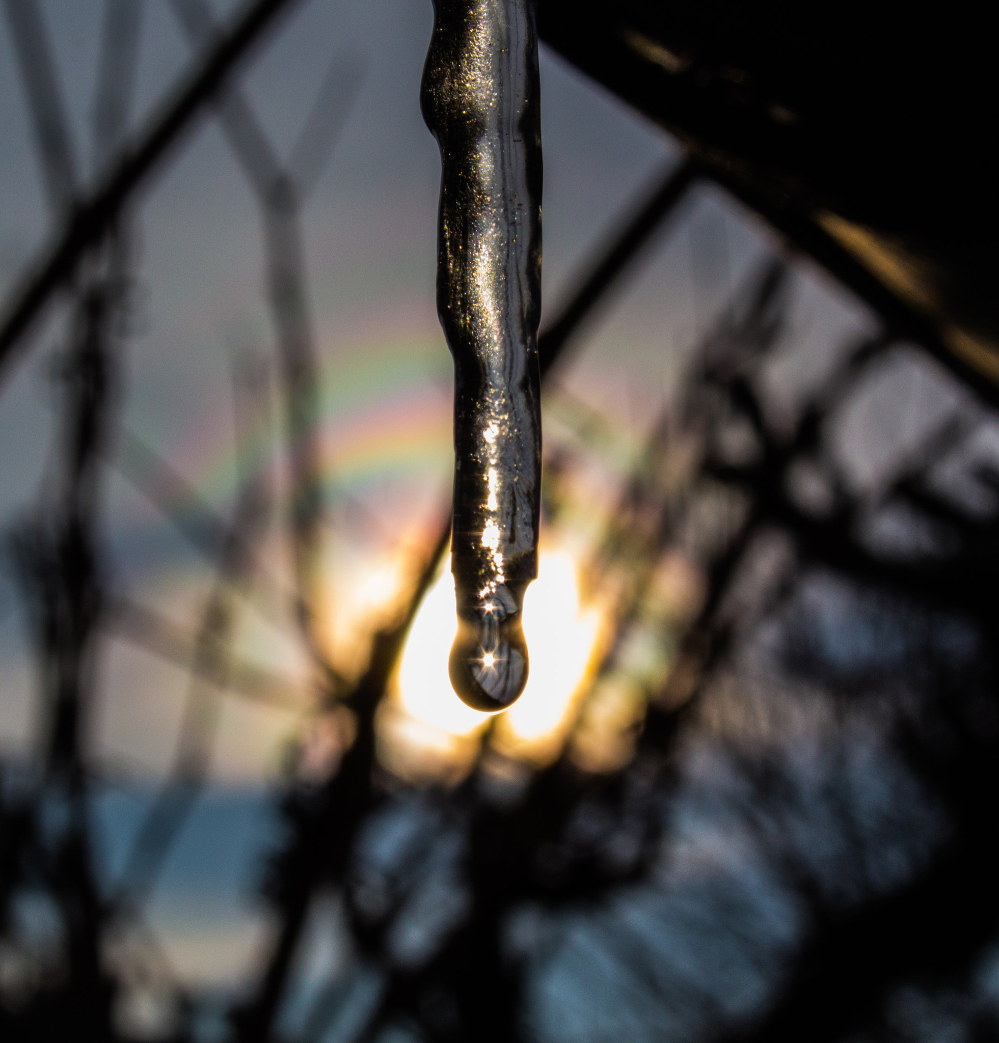 Canon EF-S 18-55mm F3.5-5.6 II sample photo. Catch the sun photography