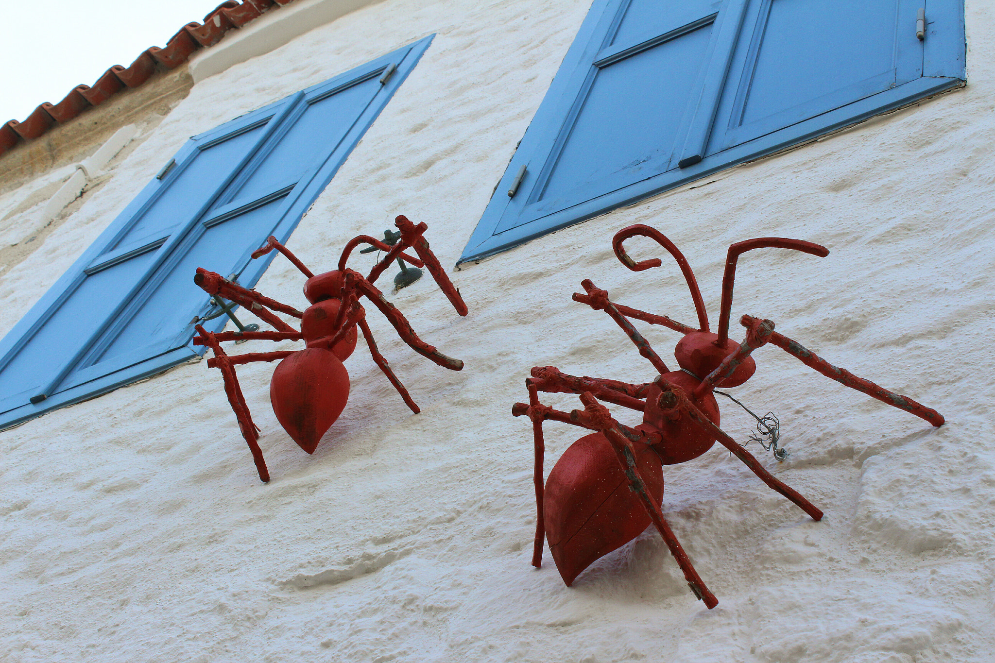 Canon EF 50mm f/1.8 sample photo. Spiders photography