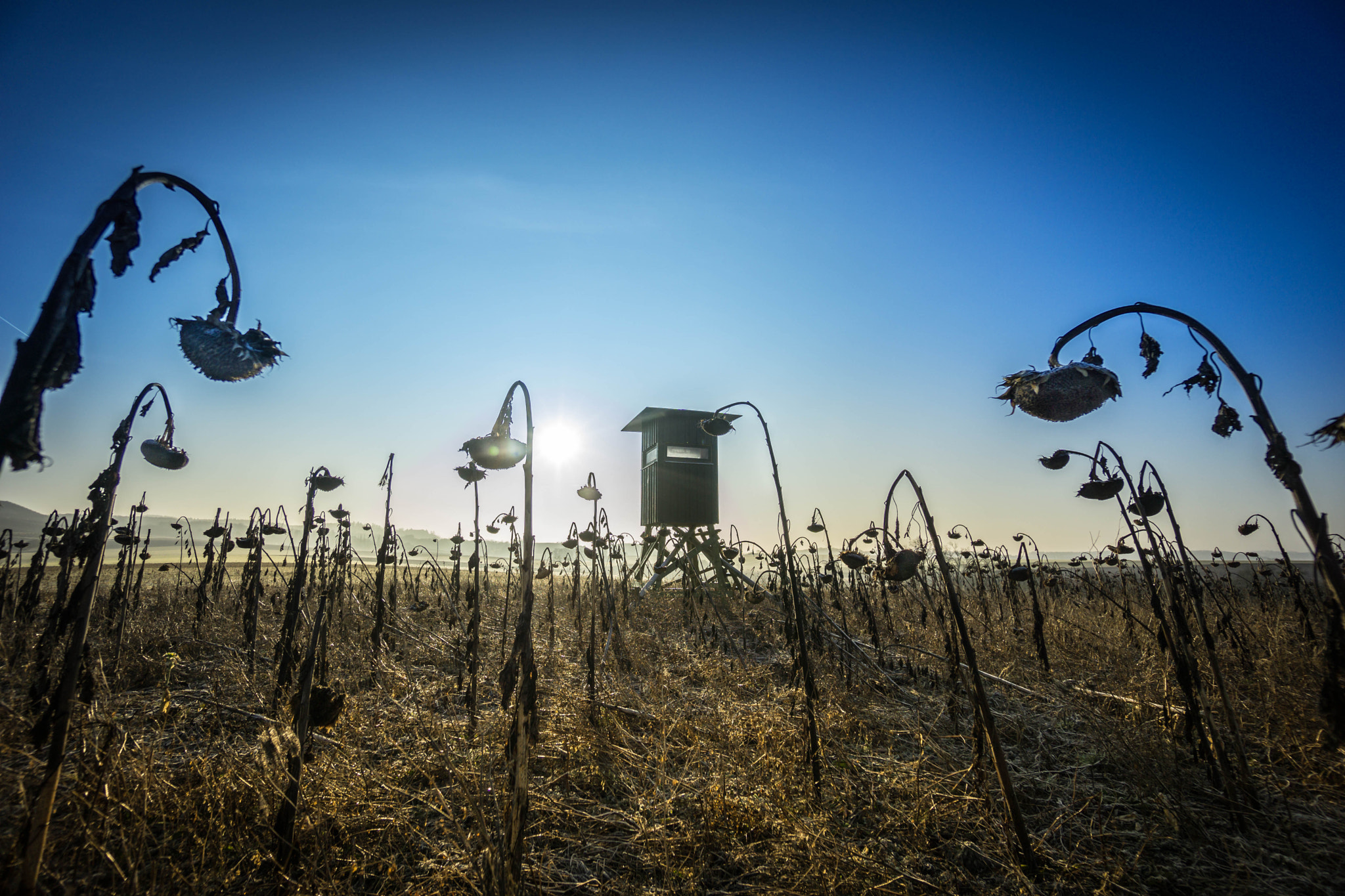 Sony a6000 + Sony E 10-18mm F4 OSS sample photo. Morgensonne photography