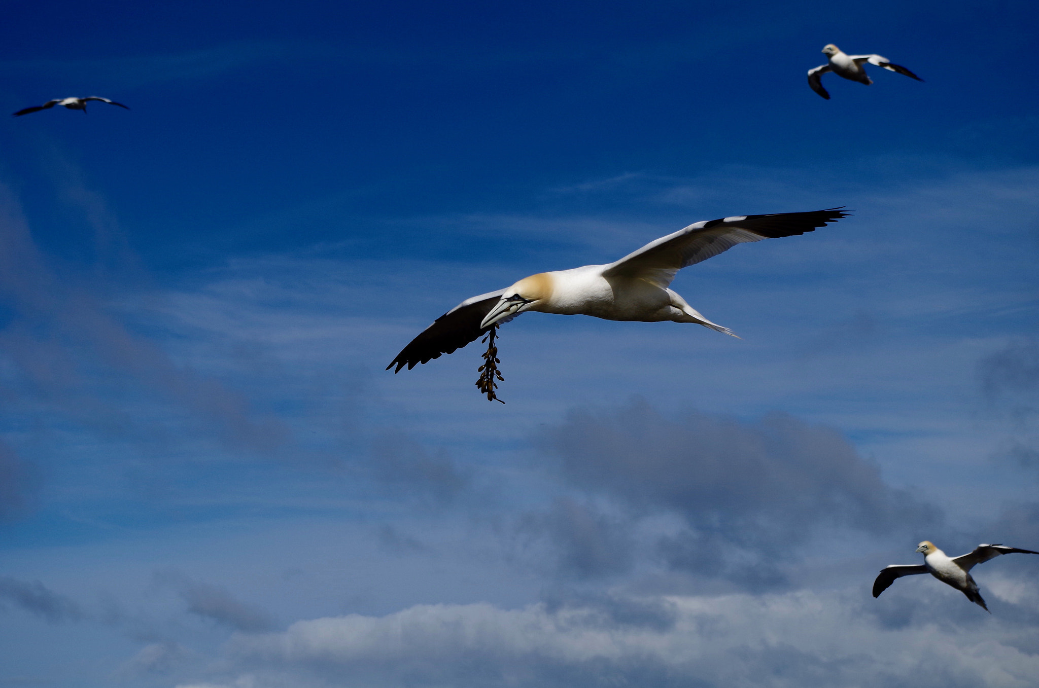 Pentax K-30 sample photo