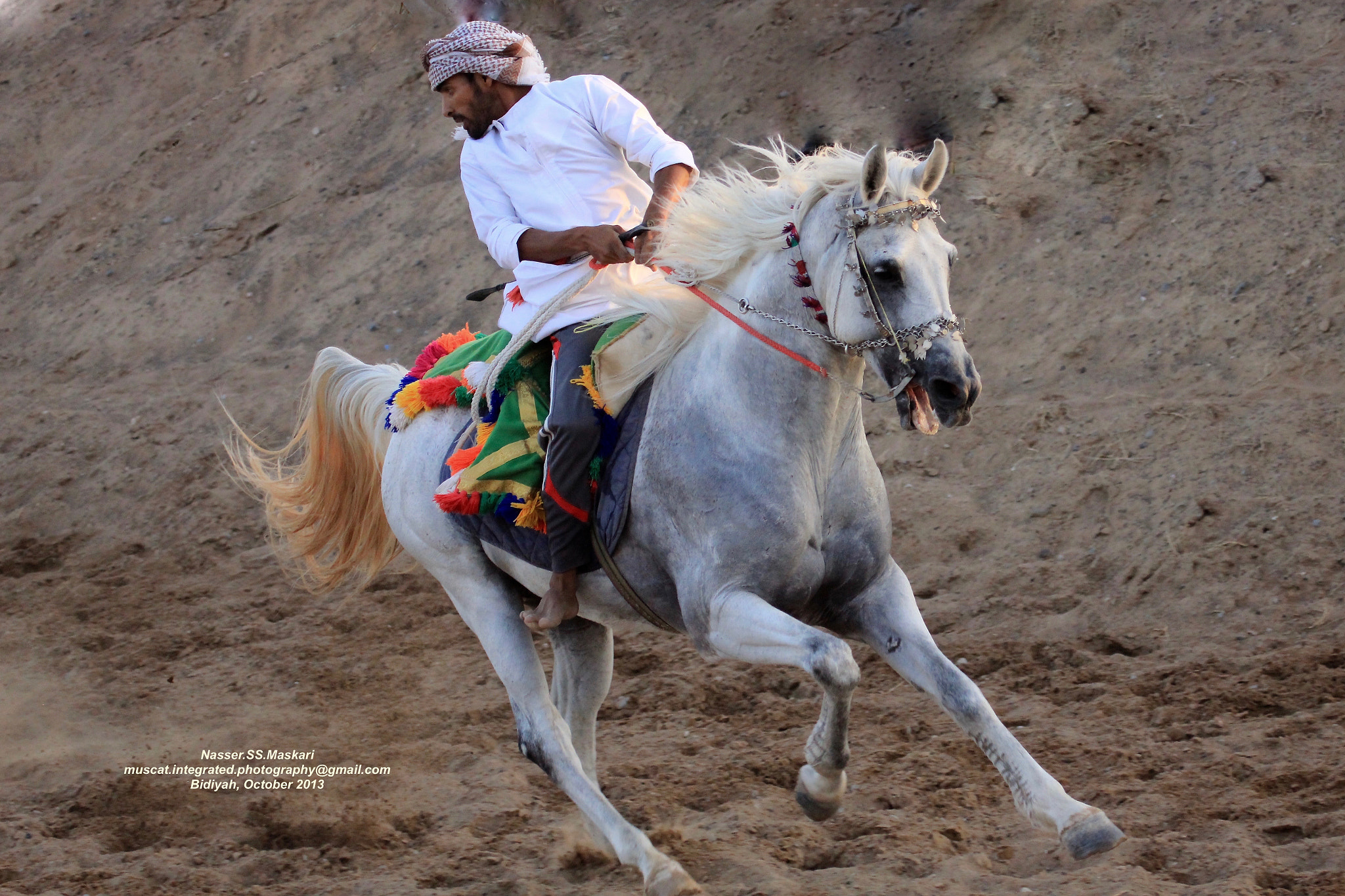 Canon EF 100-400mm F4.5-5.6L IS USM sample photo. Version 7 photography