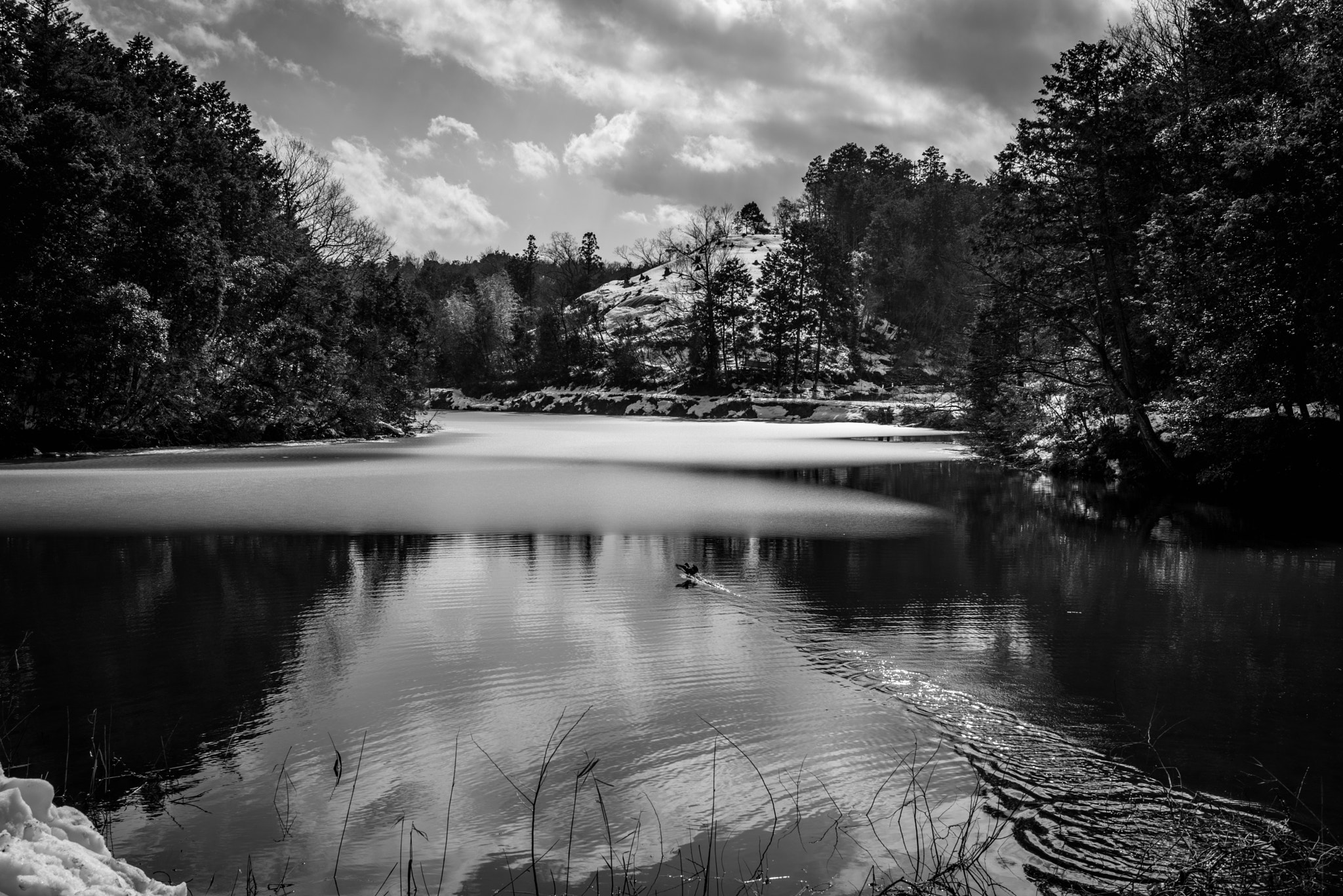 Nikon D750 sample photo. Winter lake photography