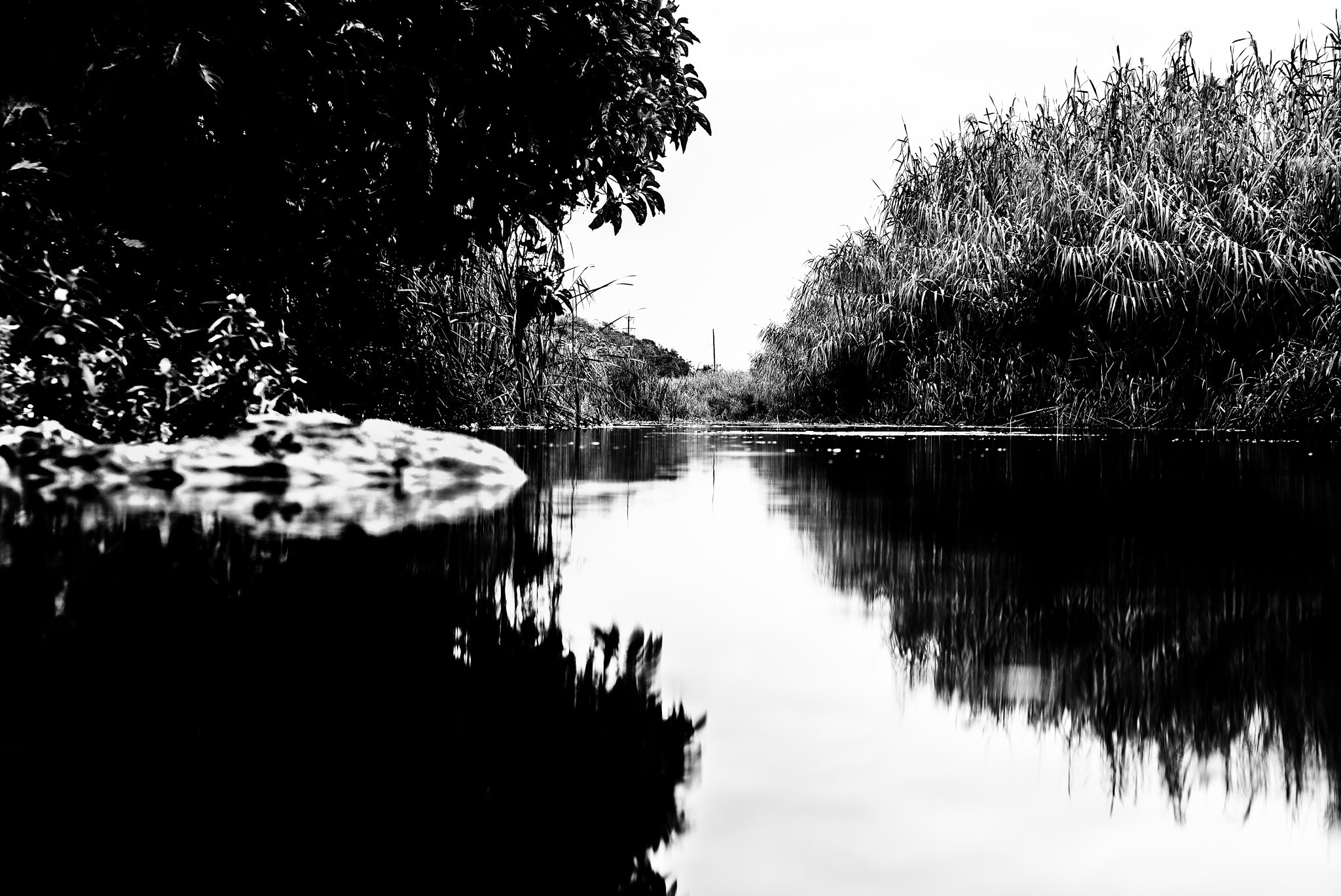 Nikon D600 sample photo. See me down river photography