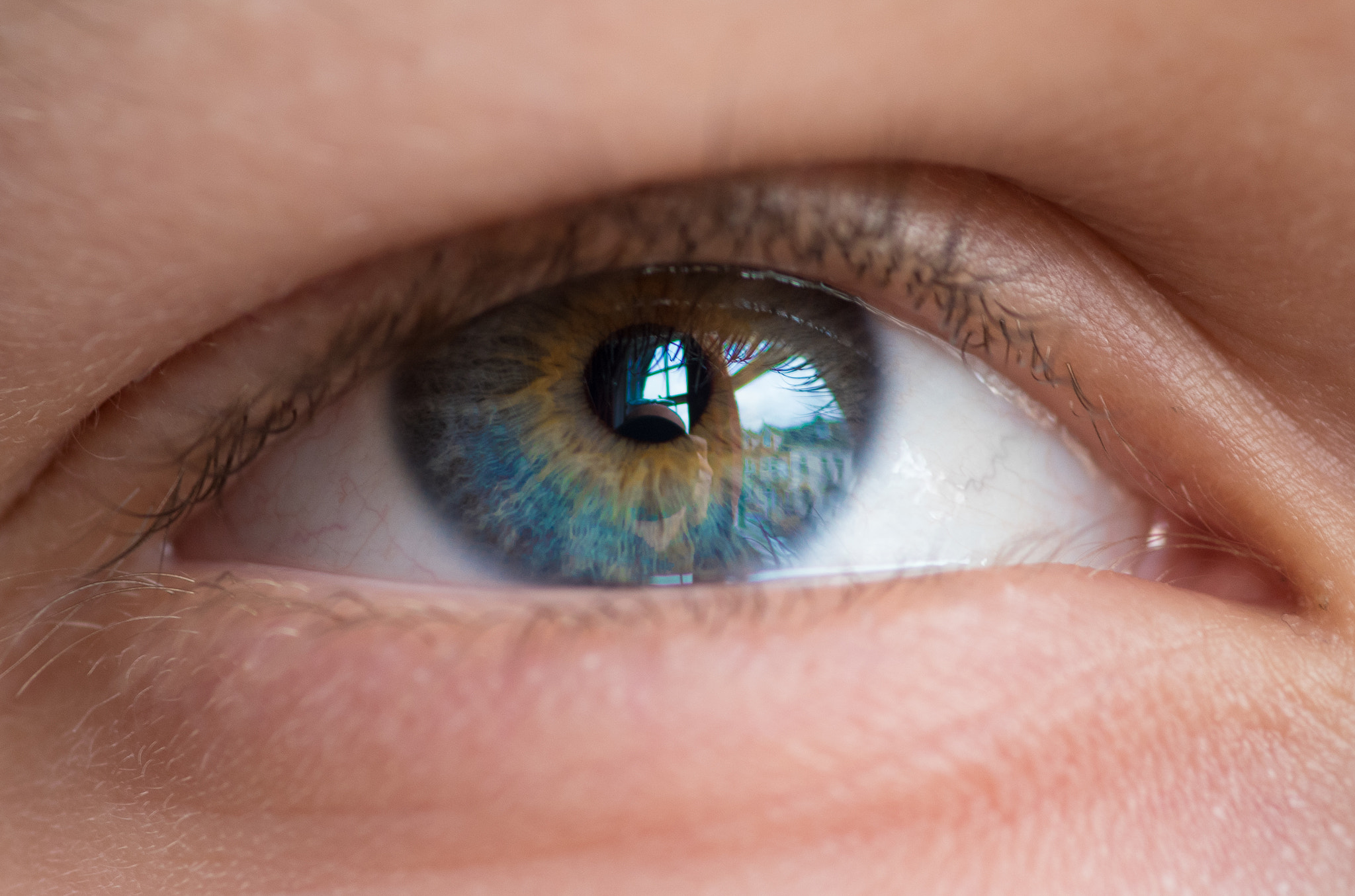 Tokina AT-X Pro 100mm F2.8 Macro sample photo. Caspians eye photography