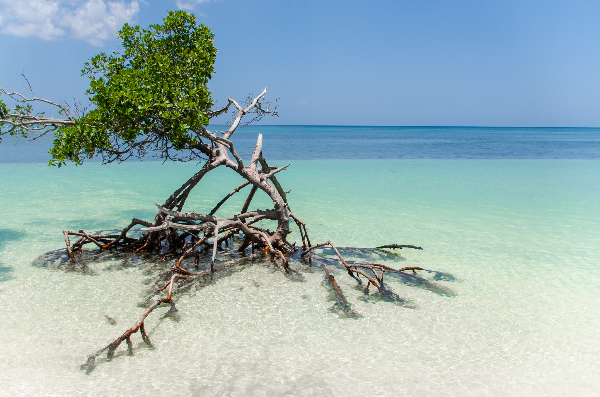 Sigma 18-250mm F3.5-6.3 DC Macro OS HSM sample photo. Cuba photography