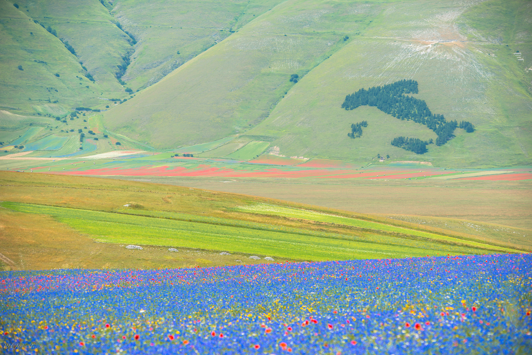 Nikon D800 + Sigma 150-500mm F5-6.3 DG OS HSM sample photo. Marche, italy photography