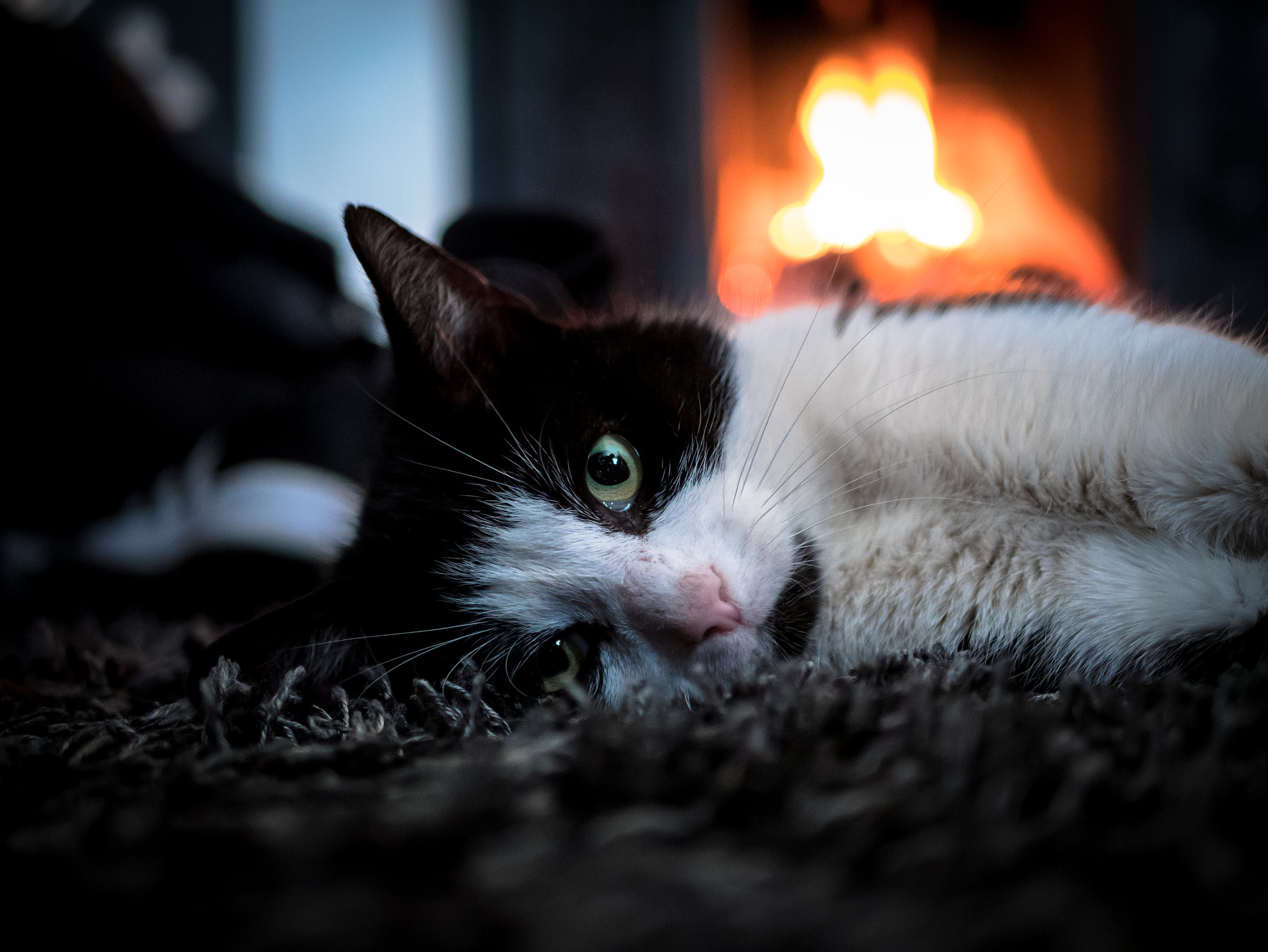 Panasonic Lumix DMC-GX85 (Lumix DMC-GX80 / Lumix DMC-GX7 Mark II) sample photo. Lazy day by the fire photography