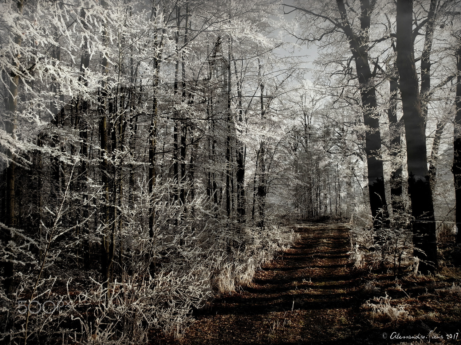 Olympus Stylus XZ-10 sample photo. Ghost cult in the woods photography