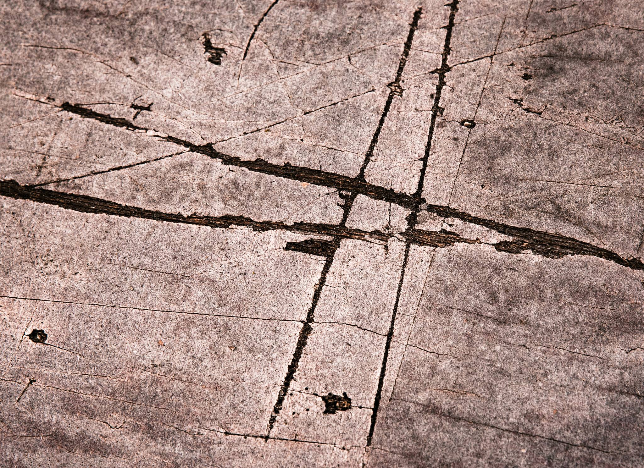 Nikon D5500 sample photo. Cuts grooves cross on old plywood photography