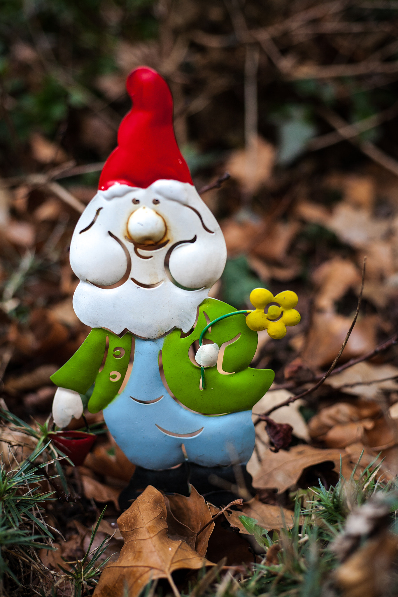 Canon EOS 5D + Canon EF 50mm F1.8 STM sample photo. Zwerg 2 photography