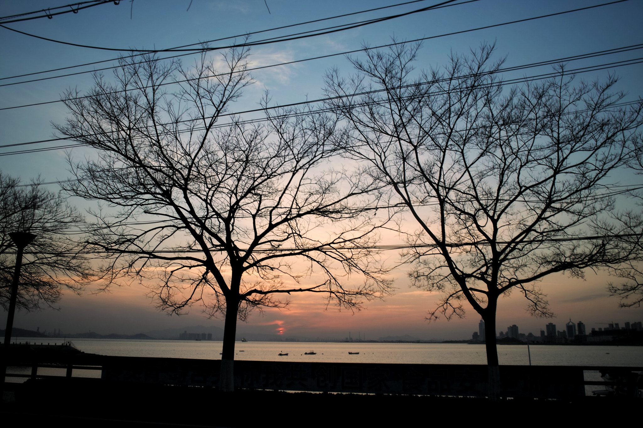 Sigma DP1x sample photo