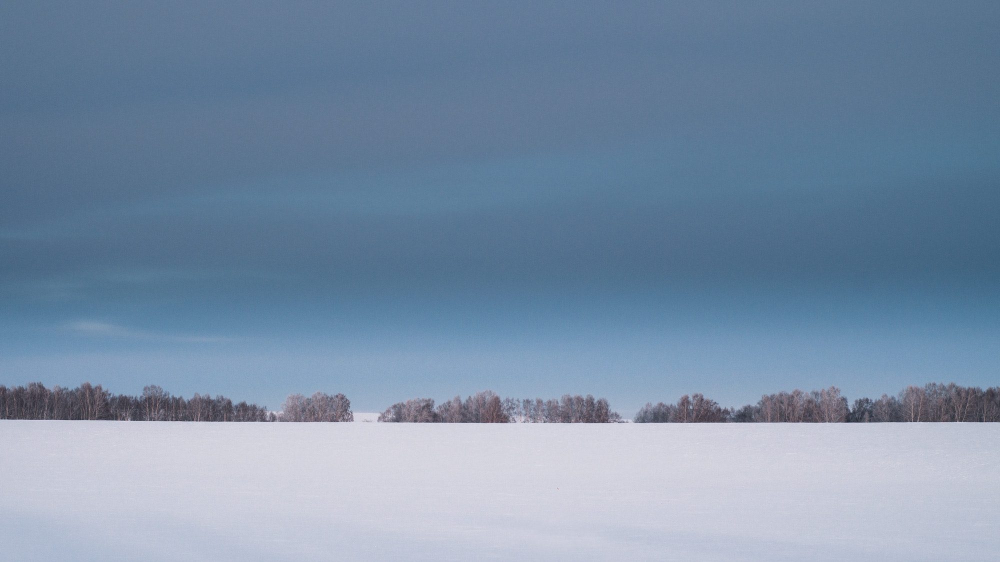 Sony SLT-A37 + Minolta AF 50mm F1.7 sample photo. Siberia photography