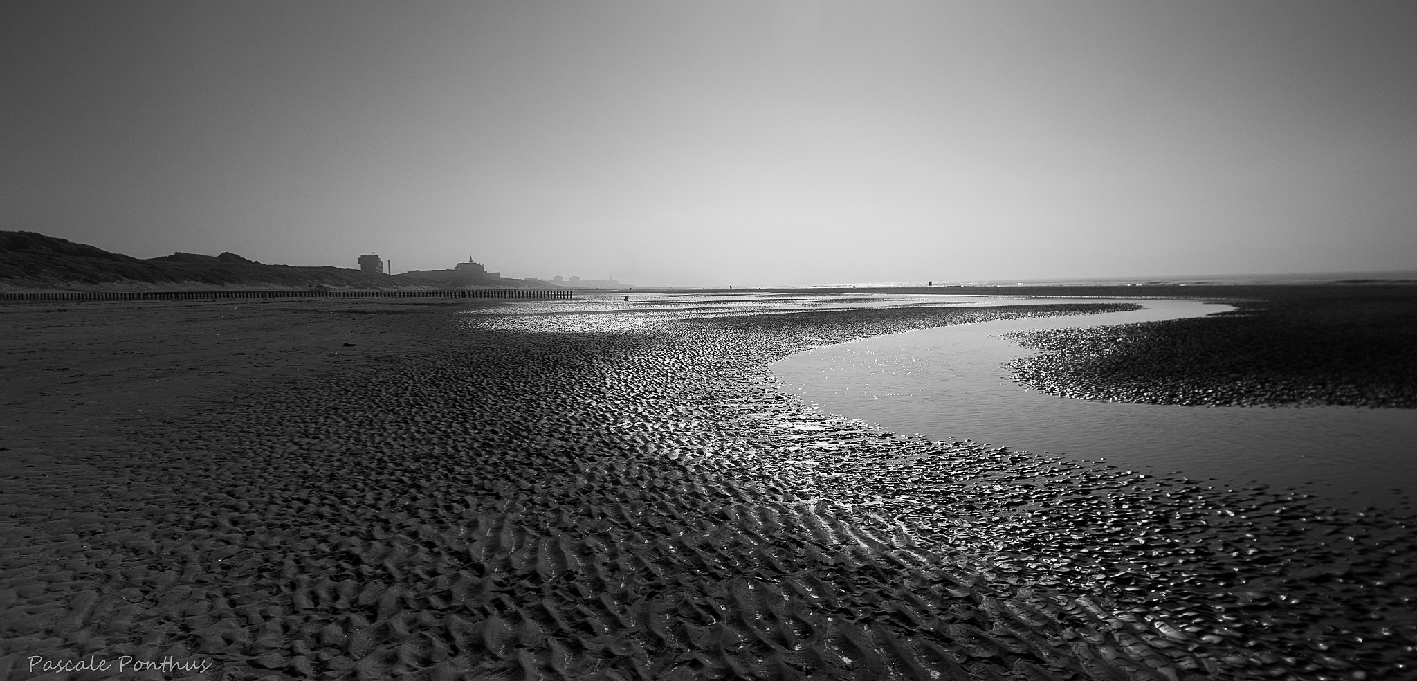 Sigma 10-20mm F3.5 EX DC HSM sample photo. Serpent de berck photography