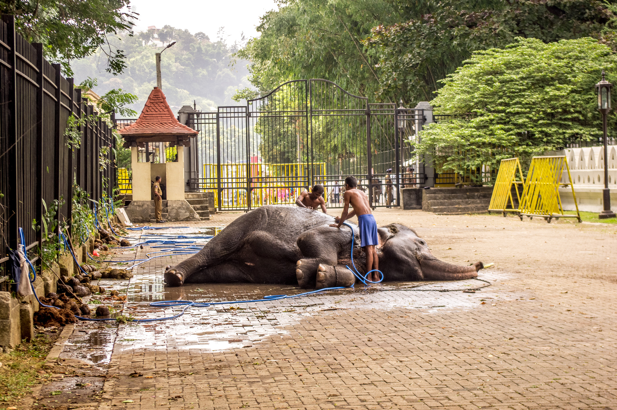 Pentax K-r sample photo. Sri lanka (2016) photography