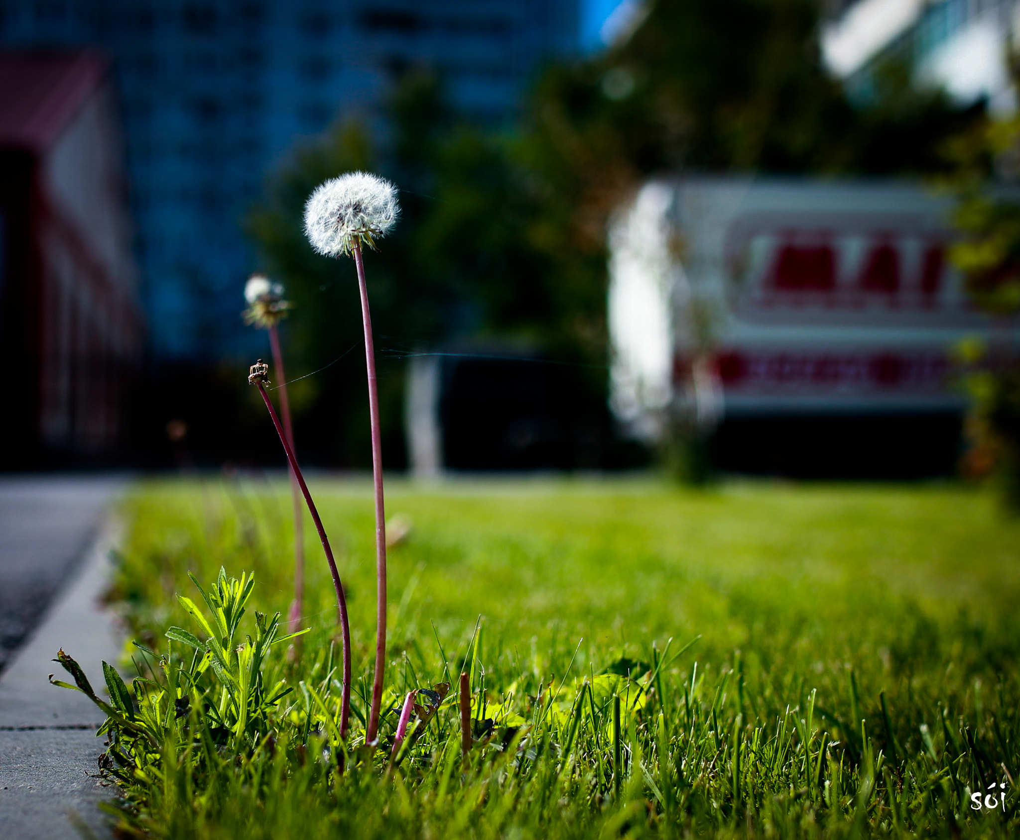 Canon EOS 70D + Sigma 35mm F1.4 DG HSM Art sample photo. Bc photography