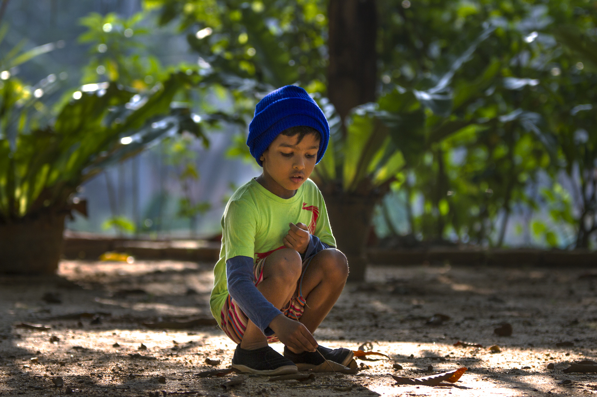 Sigma 70-200mm F2.8 EX DG OS HSM sample photo. Morning photography