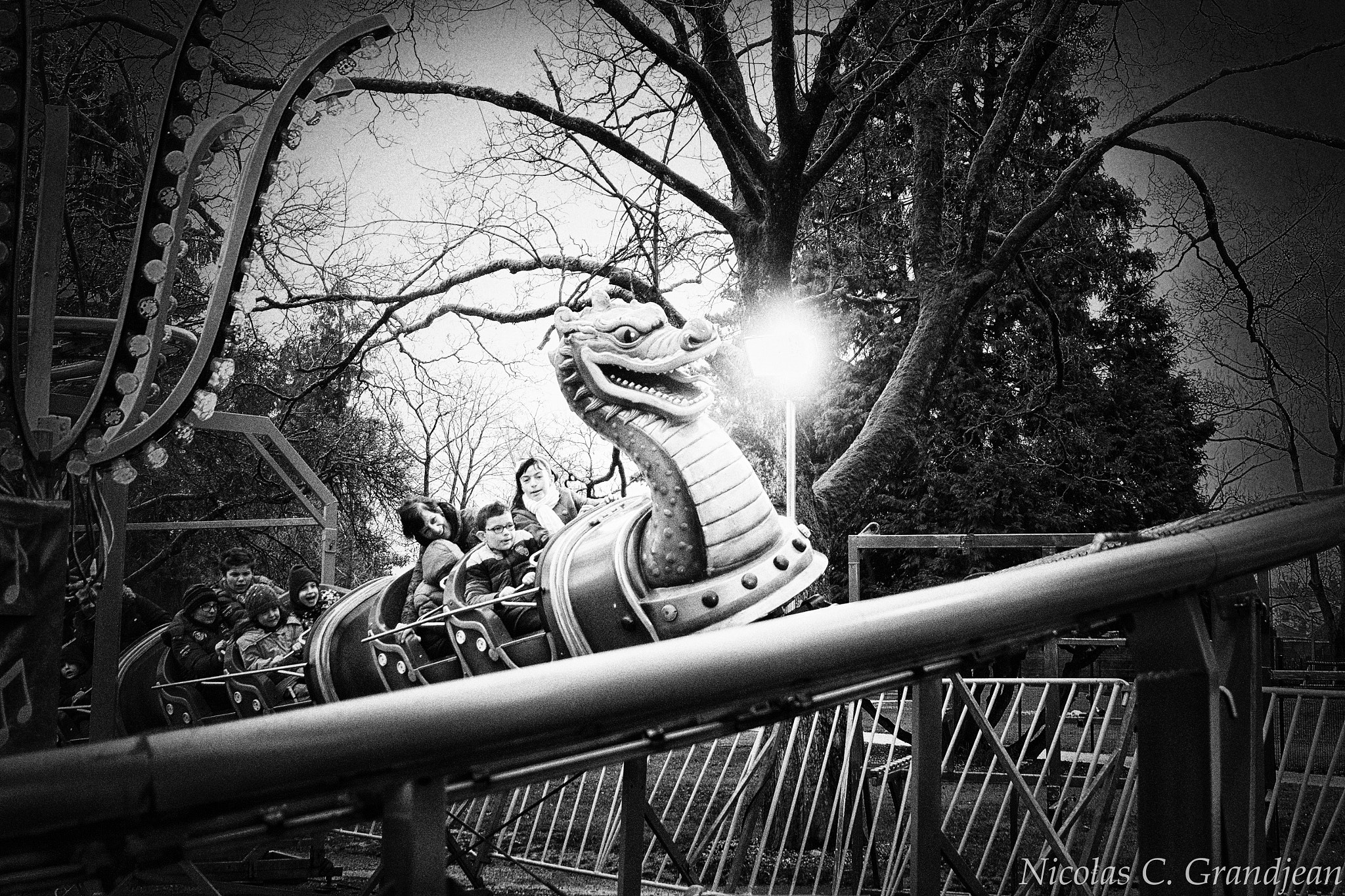 Fujifilm XC 16-50mm F3.5-5.6 OIS sample photo. Carnaval photography