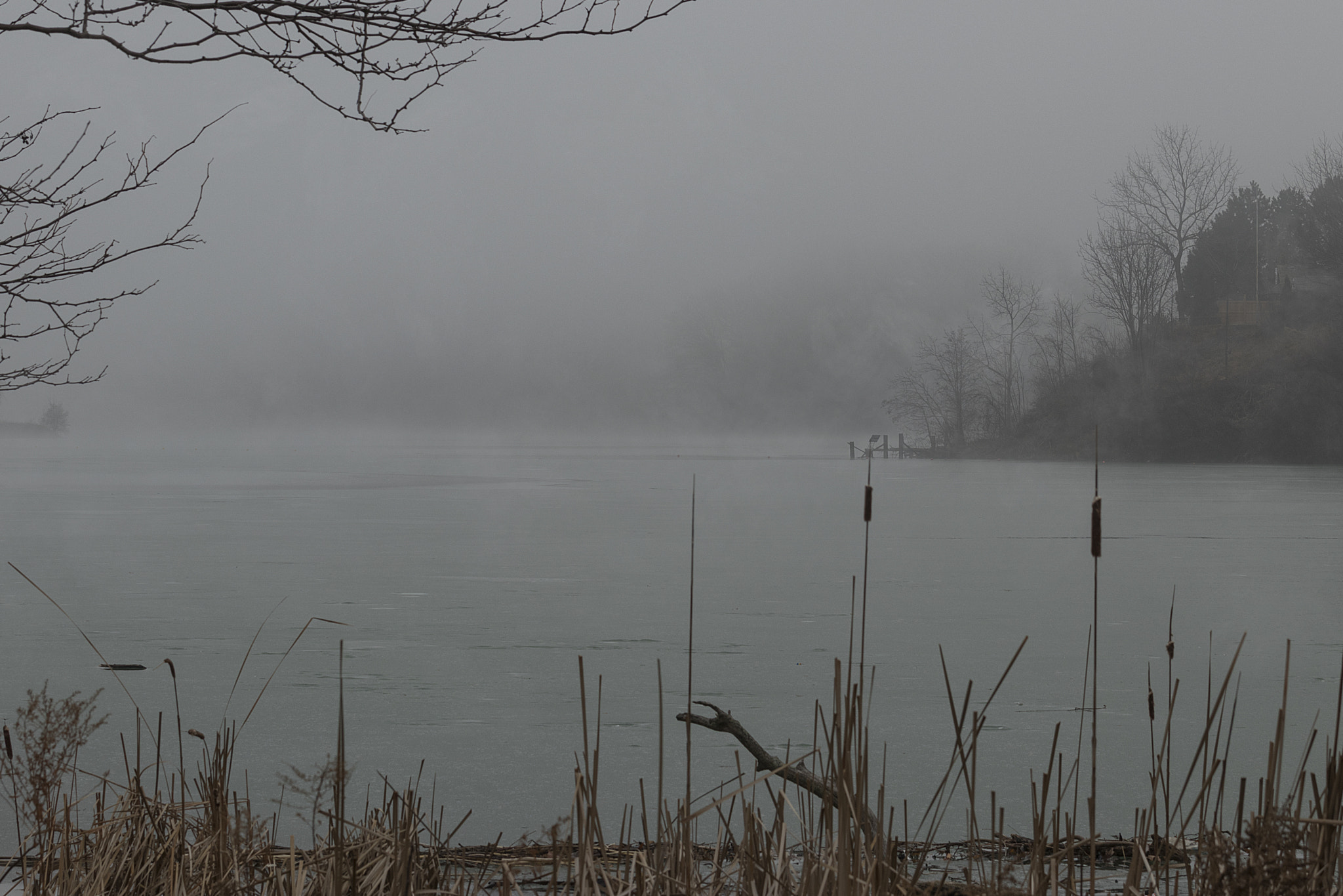 Canon EOS 80D + Canon EF 70-200mm F4L IS USM sample photo. Misty morning photography
