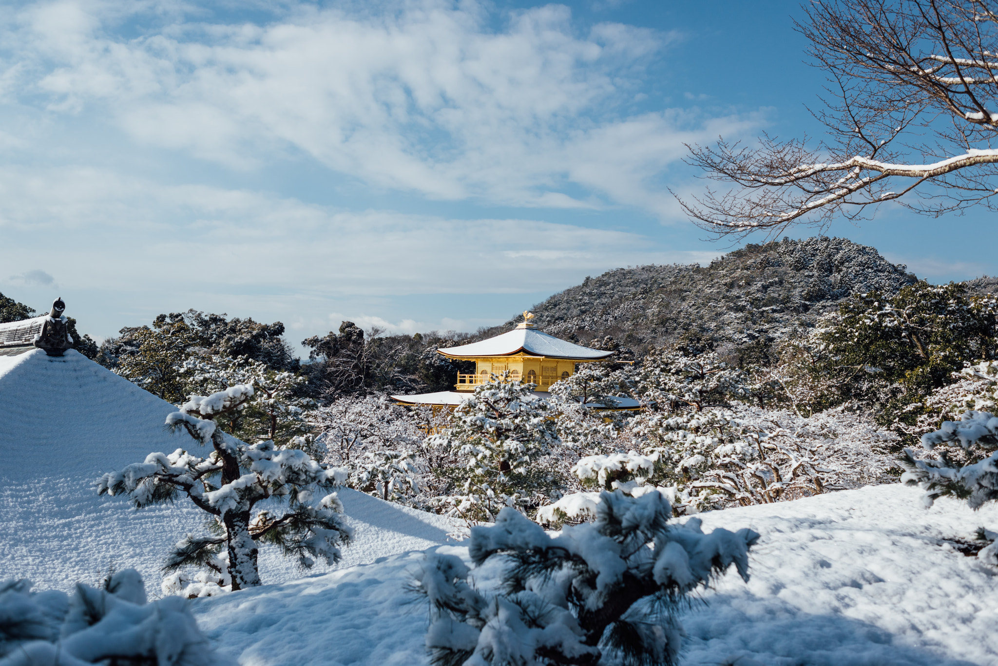 Nikon D810 + Nikon AF Nikkor 35mm F2D sample photo. Kinkaku-ji, japan photography