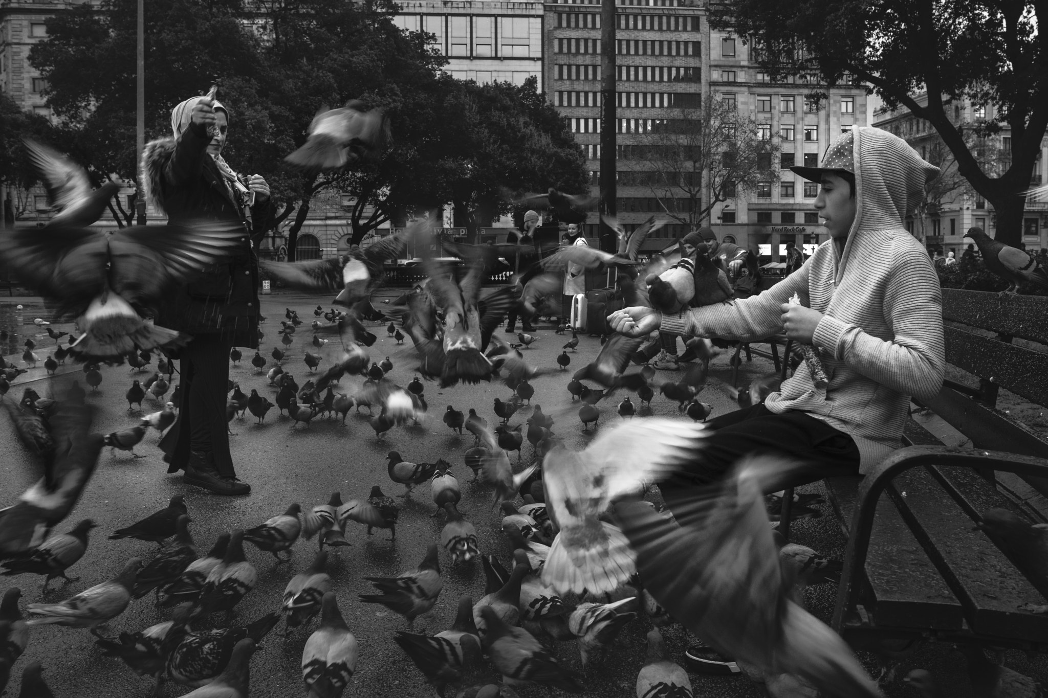 Nikon D800 + Nikon AF-S Nikkor 28mm F1.8G sample photo. "pigeons attack" photography