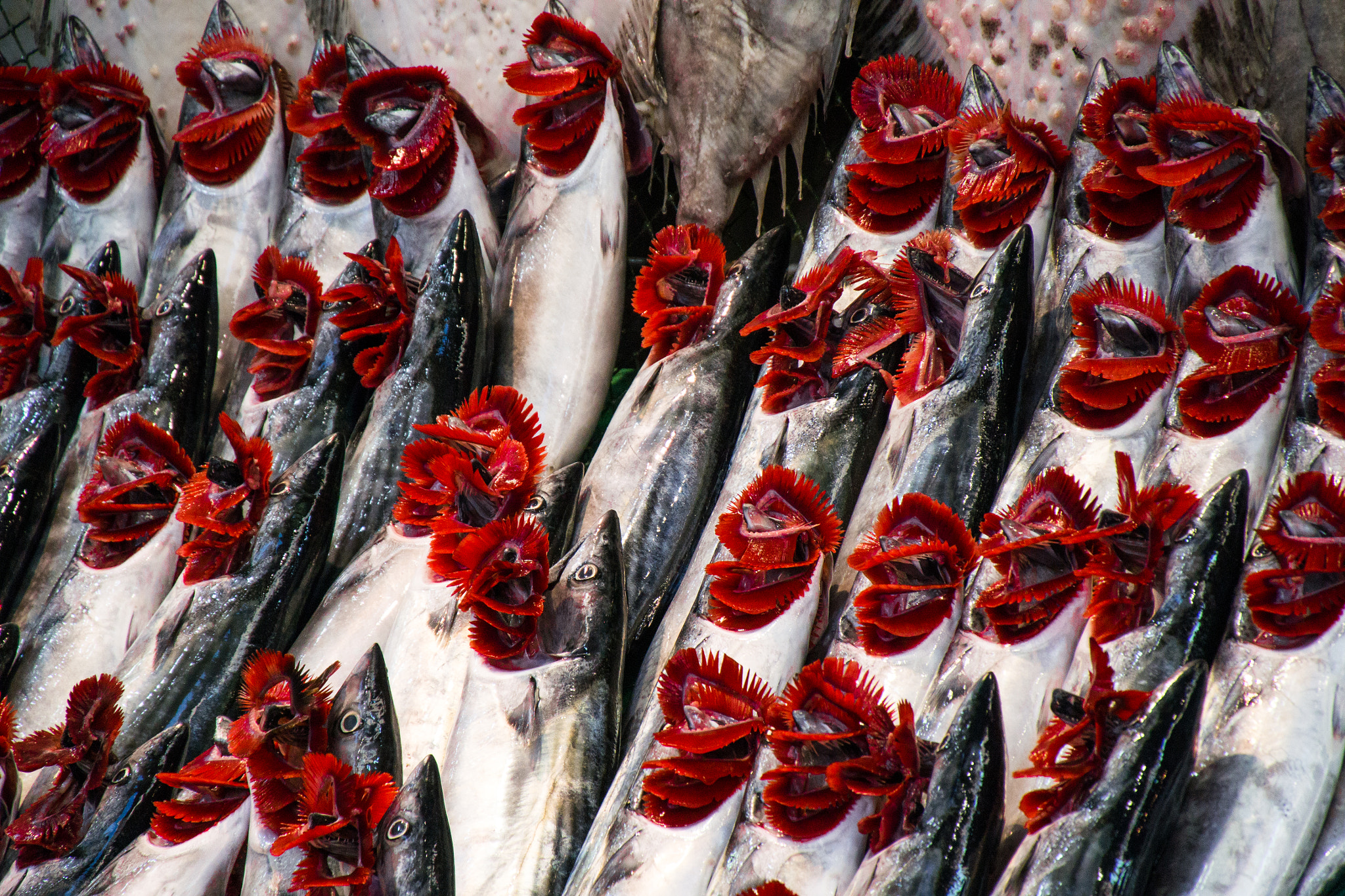 Nikon 1 V2 sample photo. Fish market, kadikoy,  istanbul photography