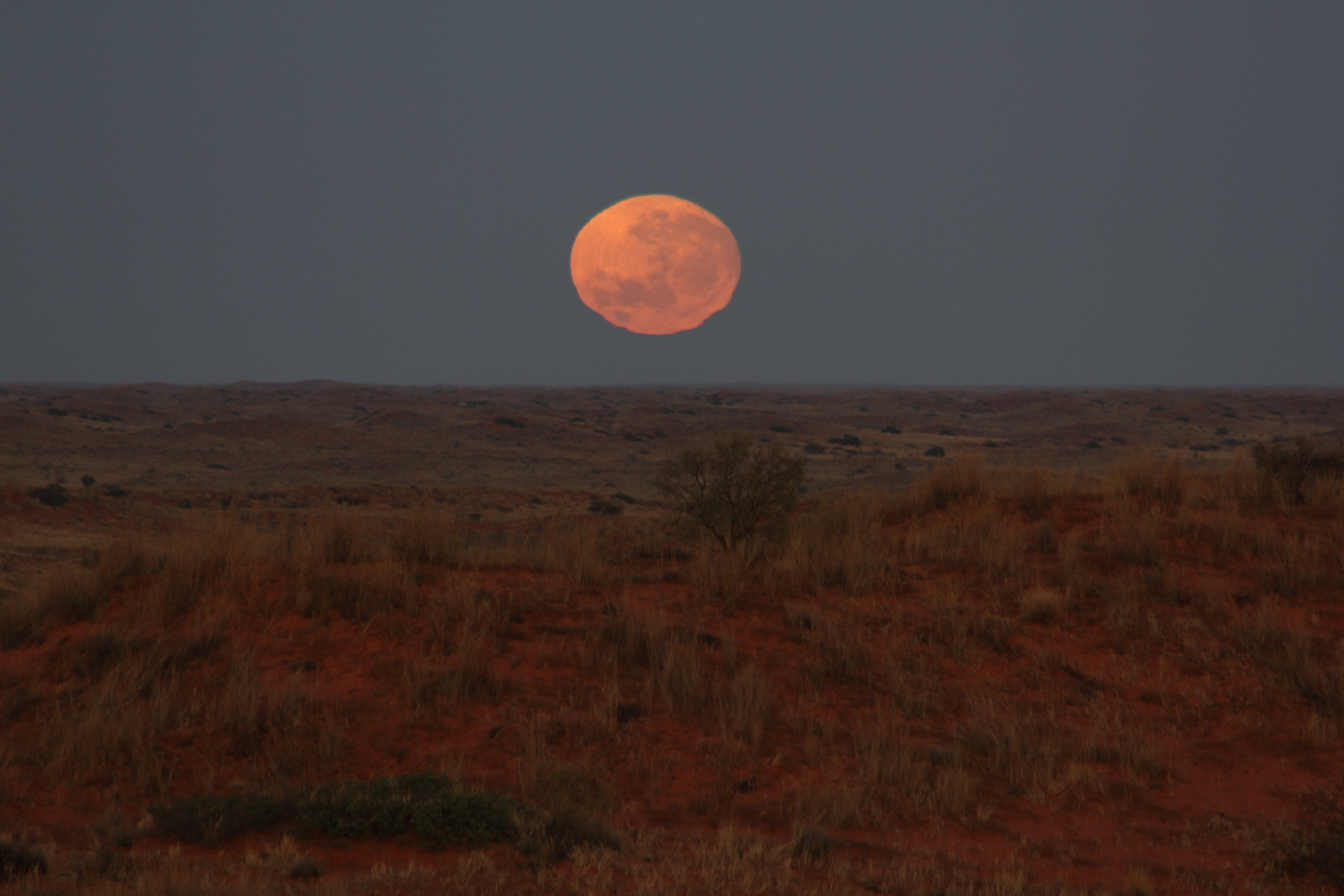 Canon EF 70-300mm F4-5.6 IS USM sample photo. Südafrika becks photography
