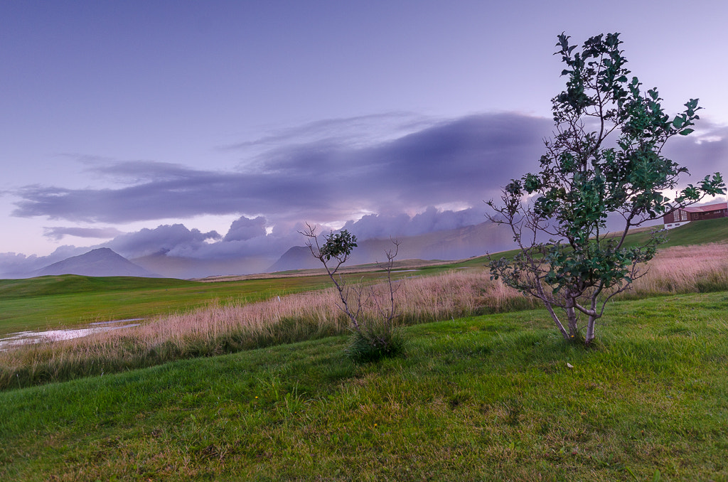 Nikon D5100 sample photo. Iceland photography