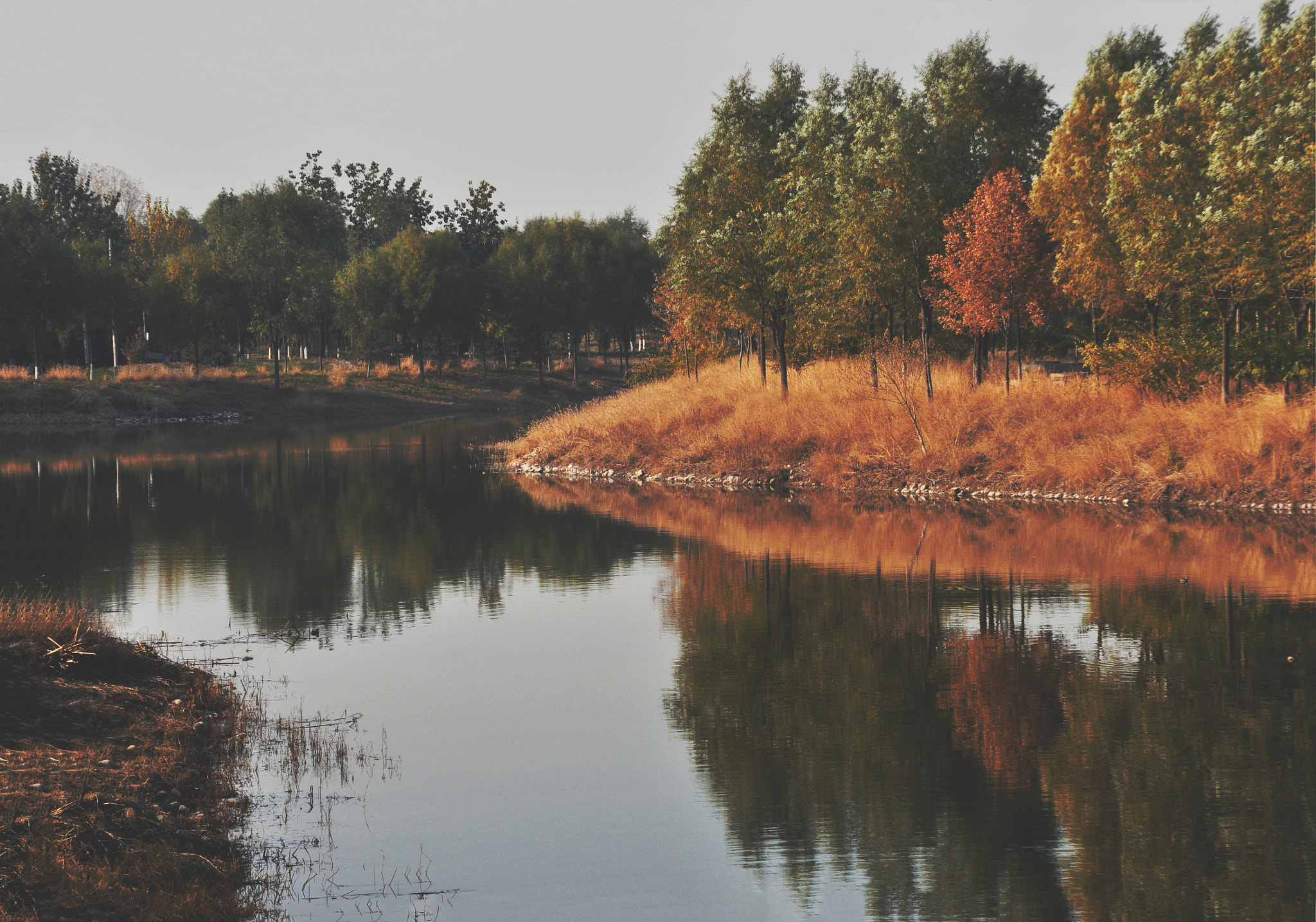 Nikon D90 sample photo. Beijing olympic green photography