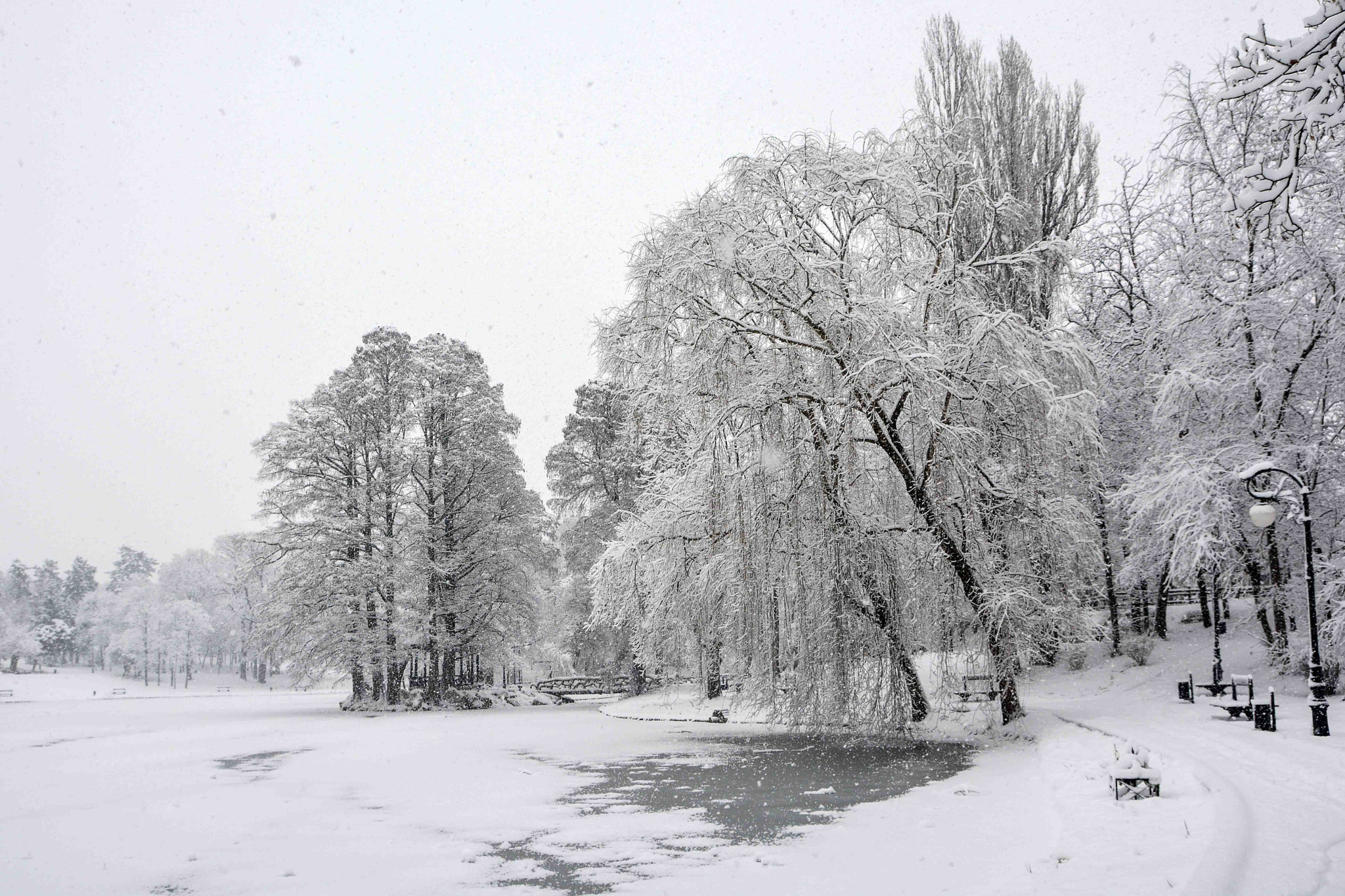 Nikon D7100 sample photo. Snow in park photography