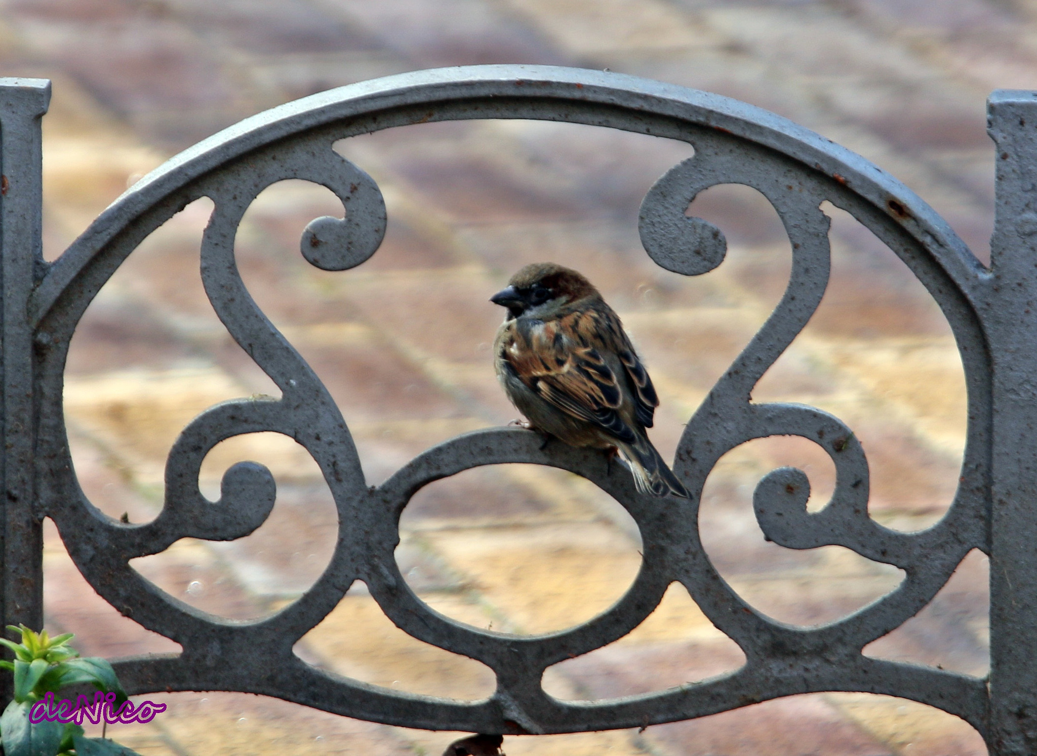 Sigma 24-105mm f/4 DG OS HSM | A sample photo. Img photography