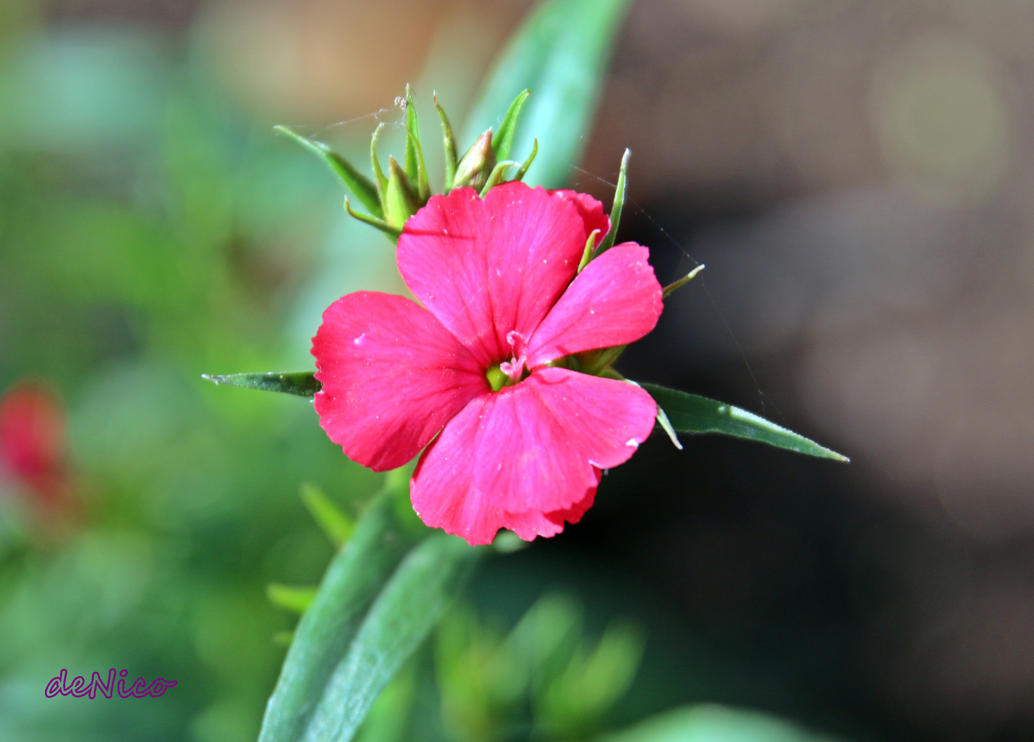 Sigma 24-105mm f/4 DG OS HSM | A sample photo. Img photography