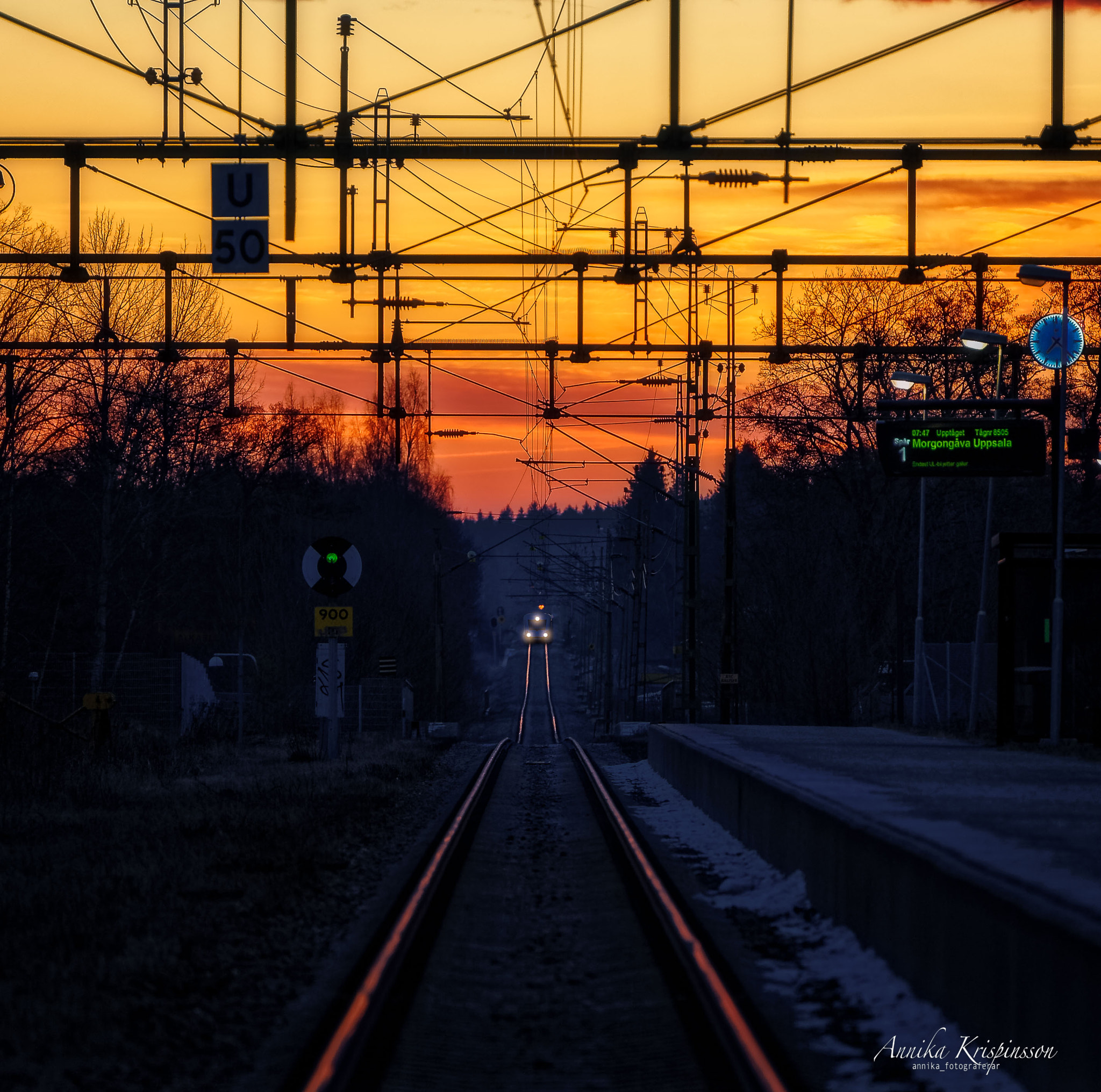 Nikon D700 sample photo. Early morning photography