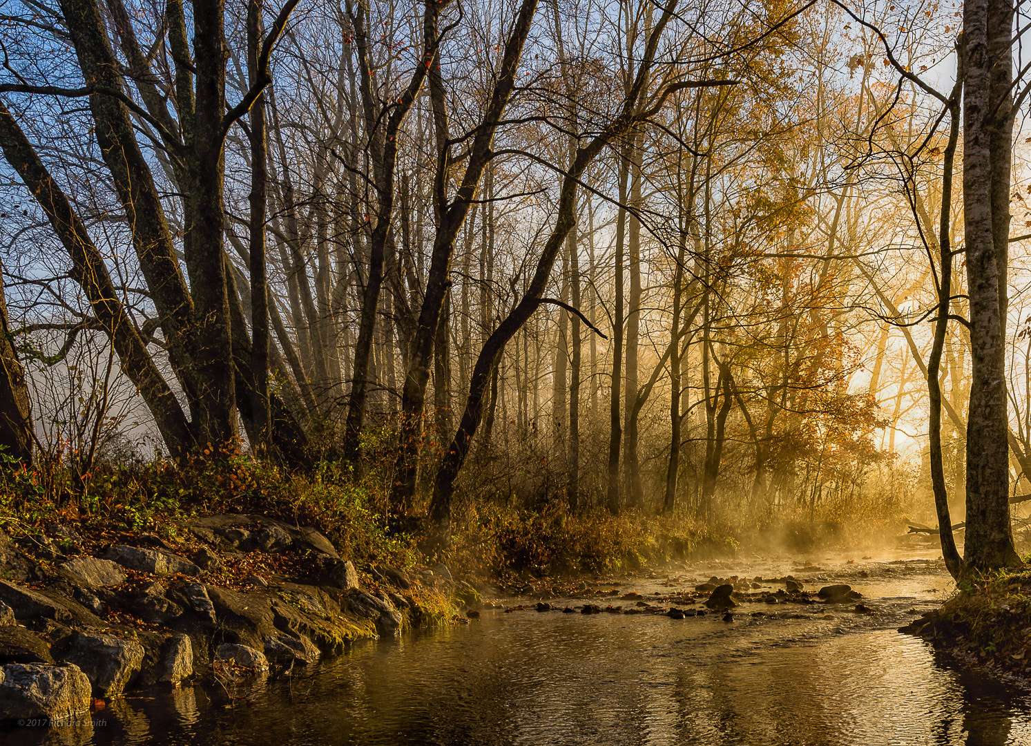 Nikon AF-S Nikkor 18-35mm F3.5-4.5G ED sample photo. November morning light photography