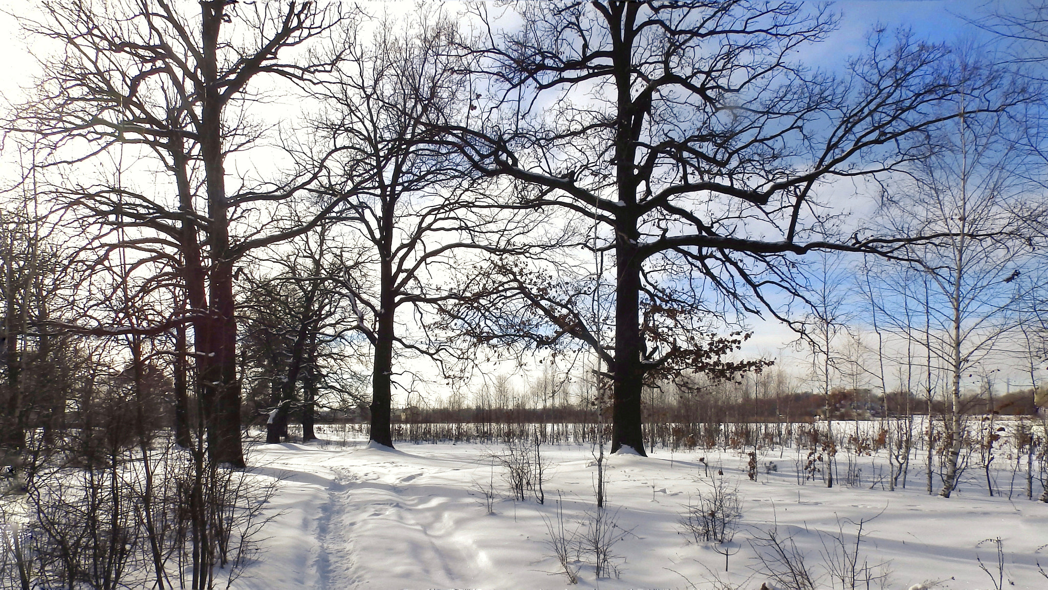 Olympus SP-820UZ sample photo. Winter day photography