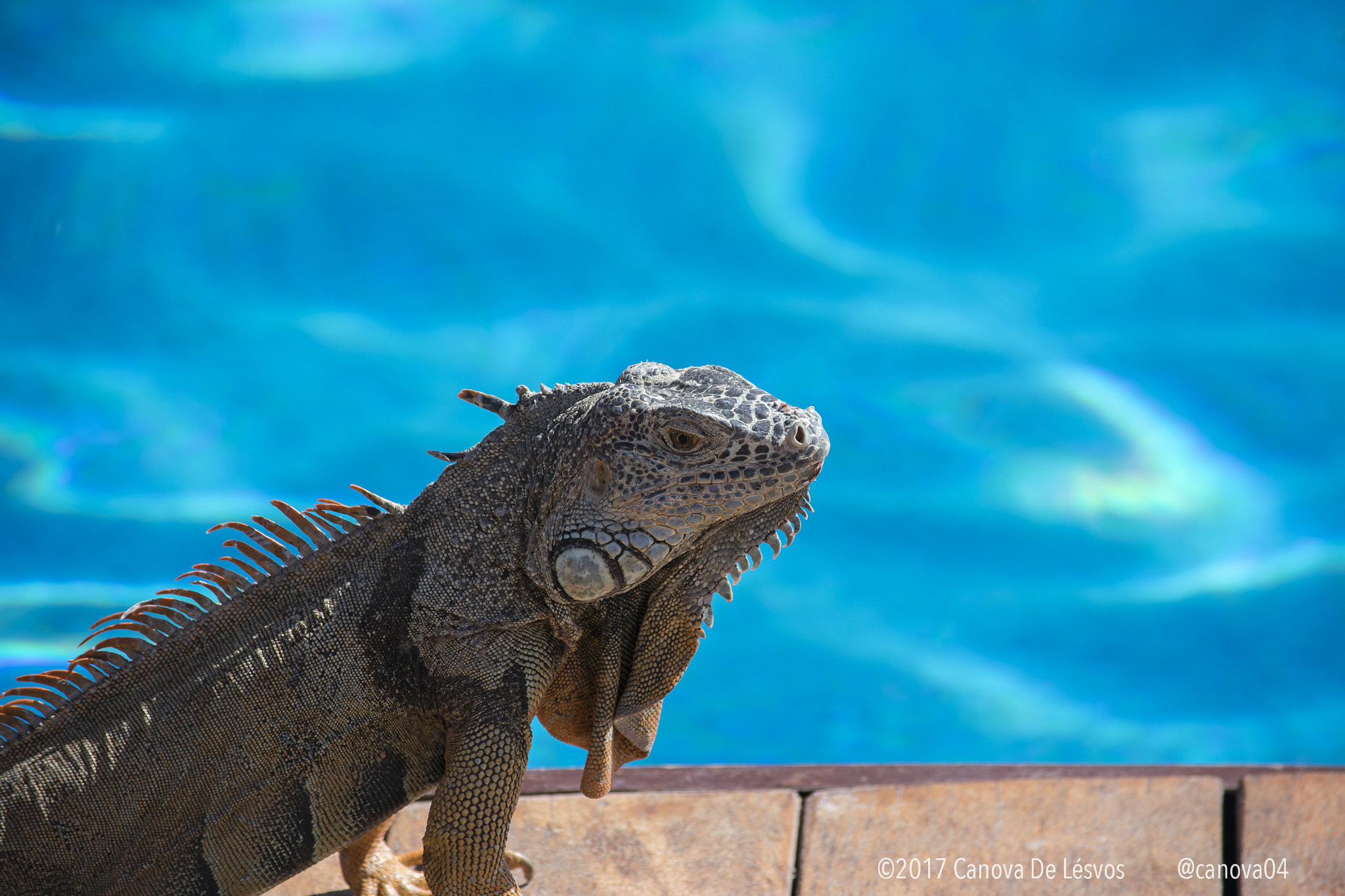 Nikon D3400 sample photo. Eva sunbathing photography