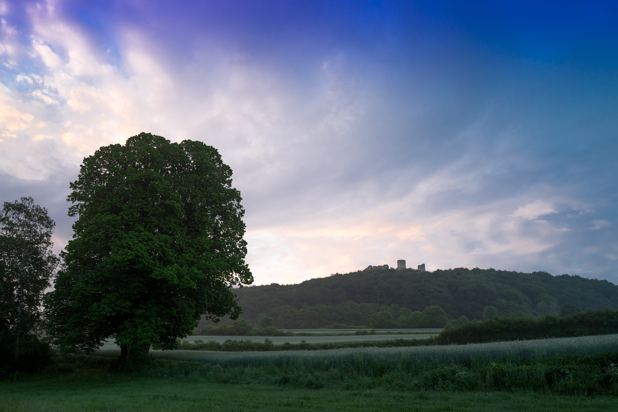 Sony a7 + Sony FE 28mm F2 sample photo. Wolfstein ruin photography