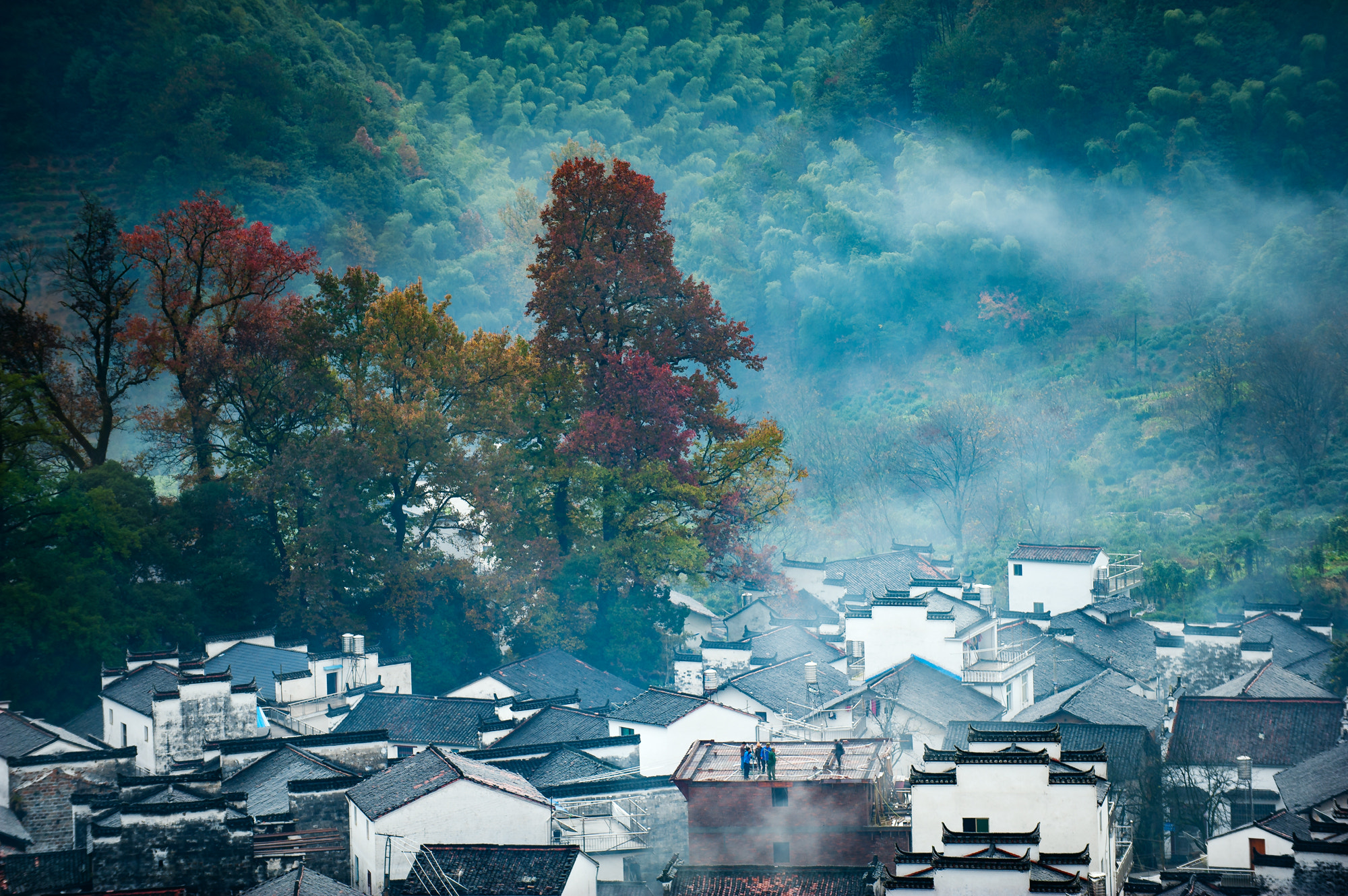 Nikon D700 sample photo