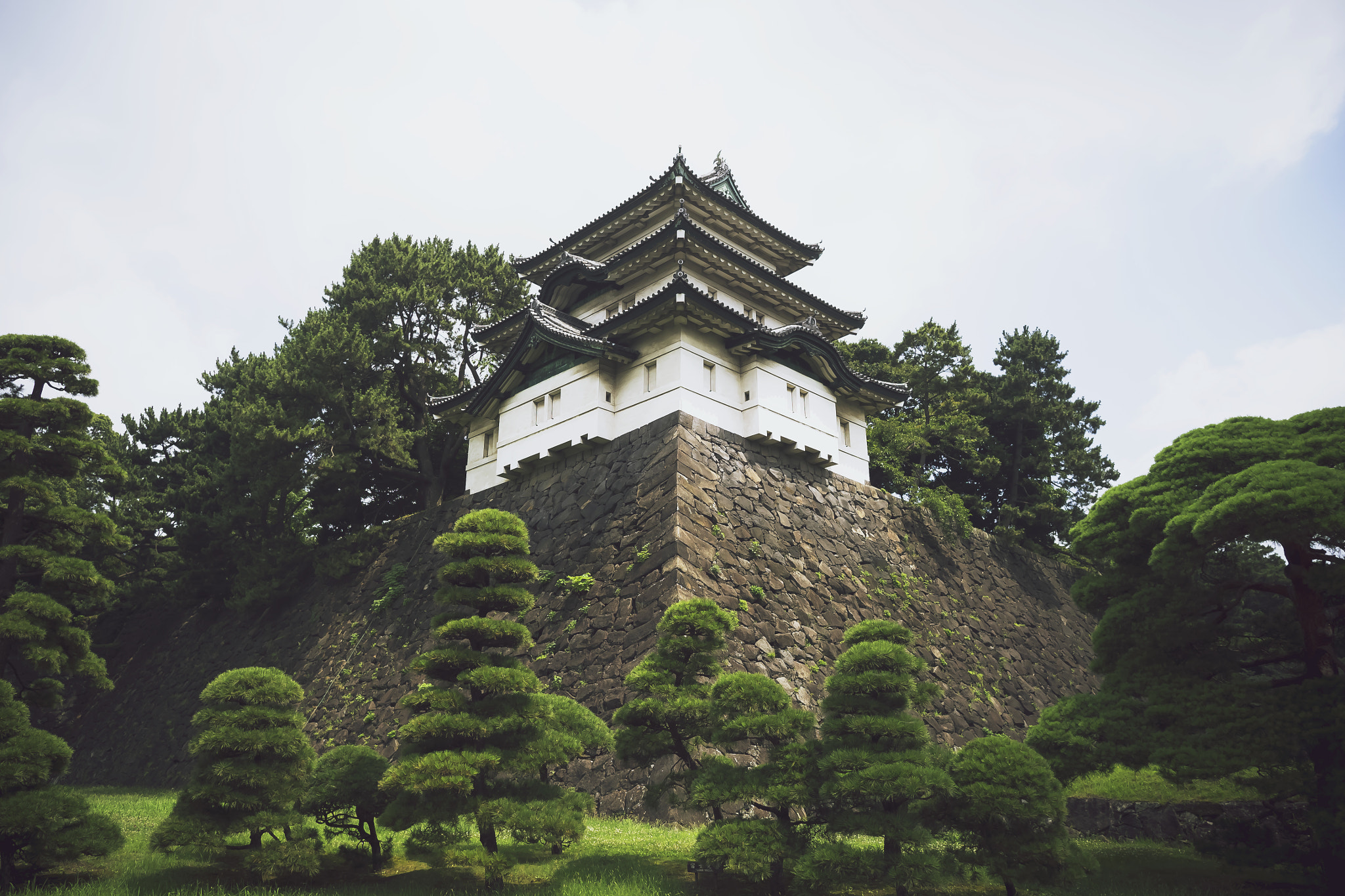 Olympus OM-D E-M5 II + OLYMPUS M.12mm F2.0 sample photo. Imperial palace photography
