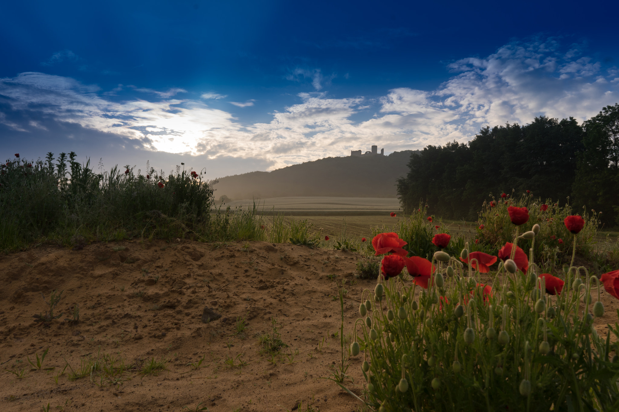Sony a7 + Sony FE 28mm F2 sample photo. Wolfstein ruin photography