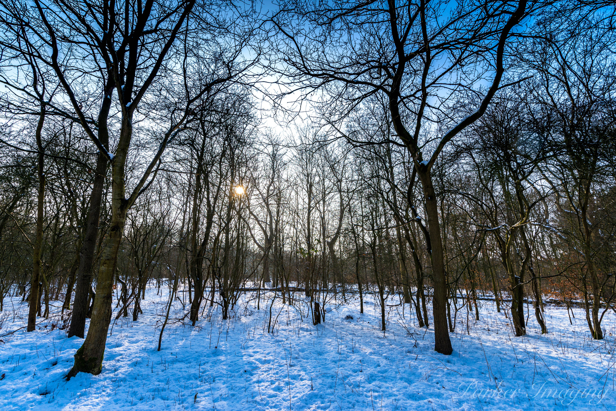 Tamron SP 15-30mm F2.8 Di VC USD sample photo. Panwoods photography