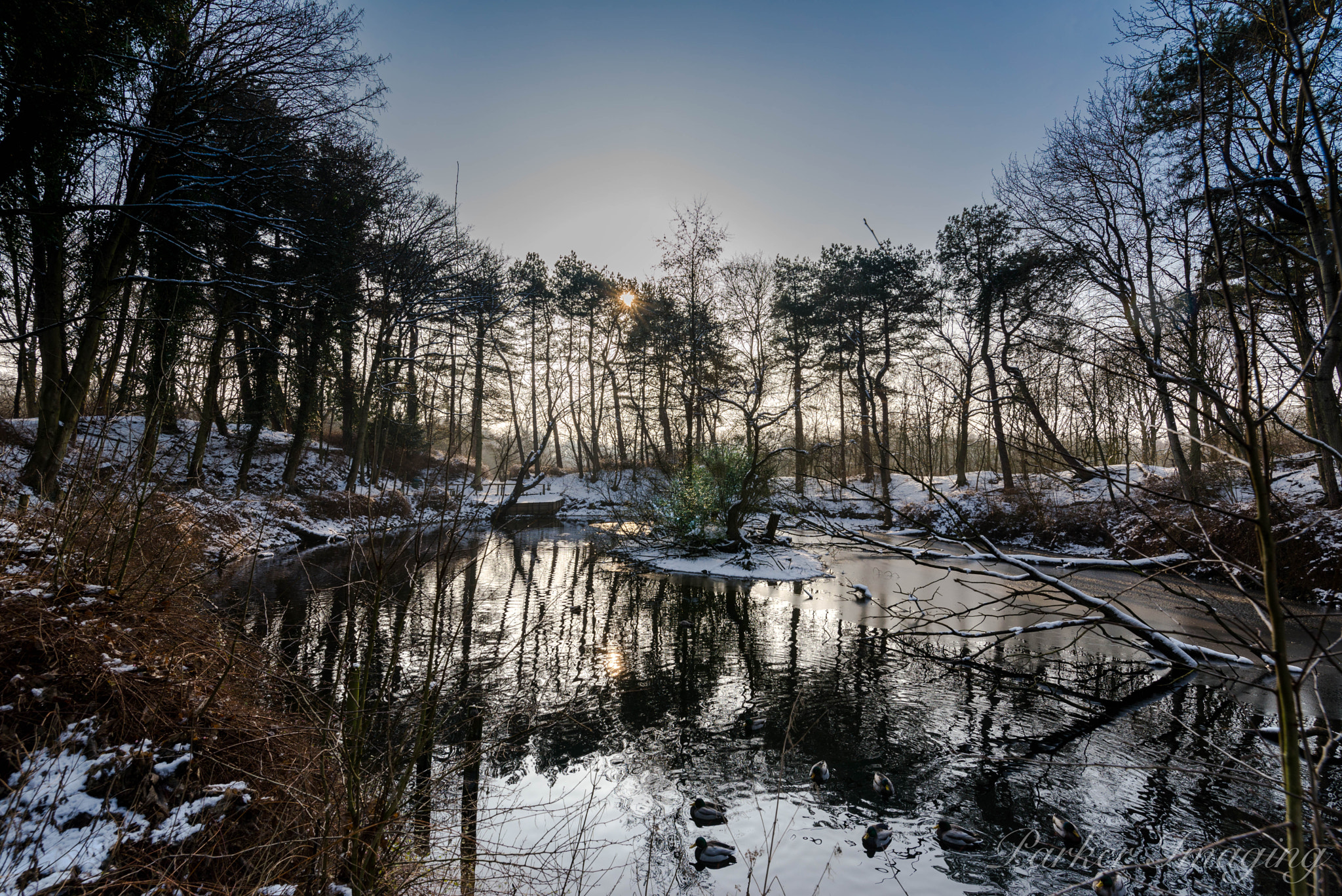Tamron SP 15-30mm F2.8 Di VC USD sample photo. Panwoods photography