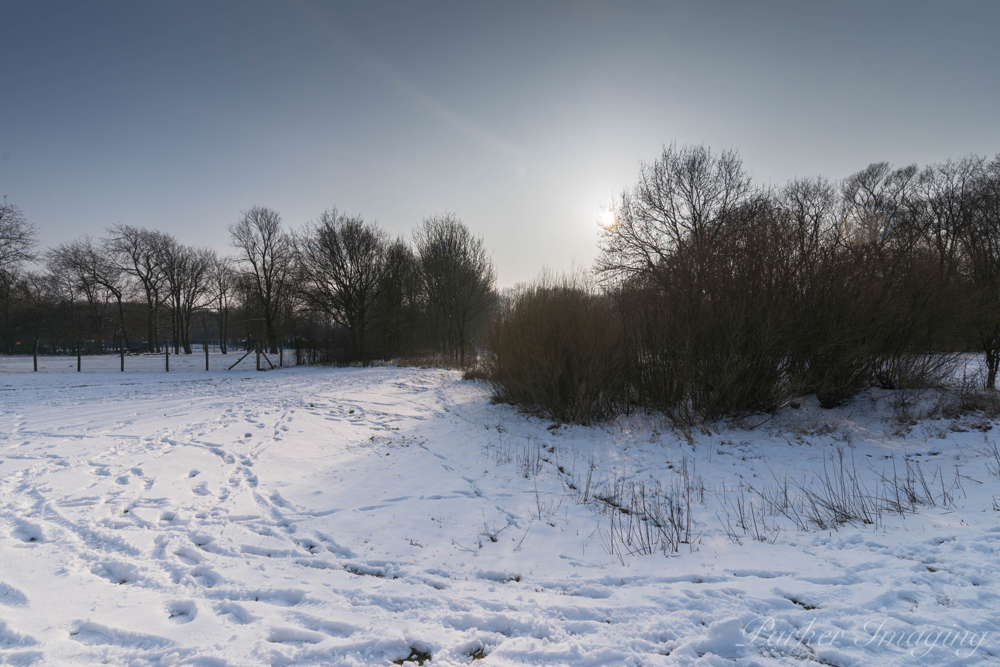 Tamron SP 15-30mm F2.8 Di VC USD sample photo. Panwoods photography
