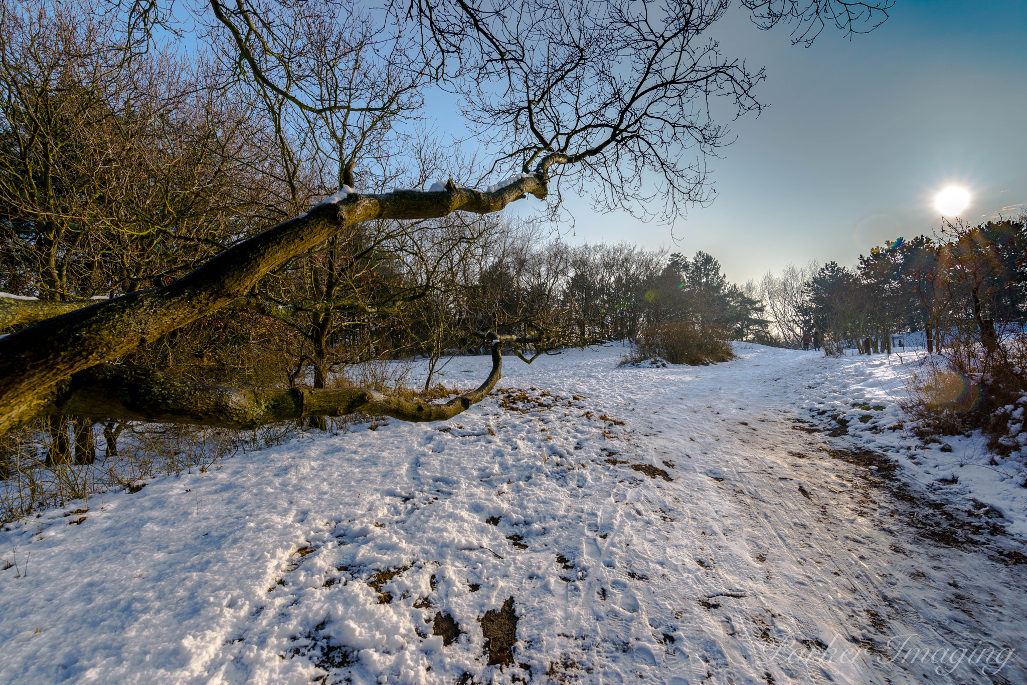 Tamron SP 15-30mm F2.8 Di VC USD sample photo. Panwoods photography