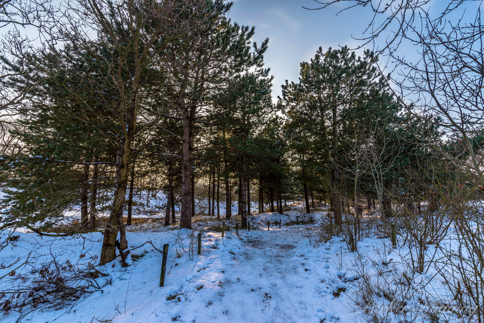 Tamron SP 15-30mm F2.8 Di VC USD sample photo. Panwoods photography