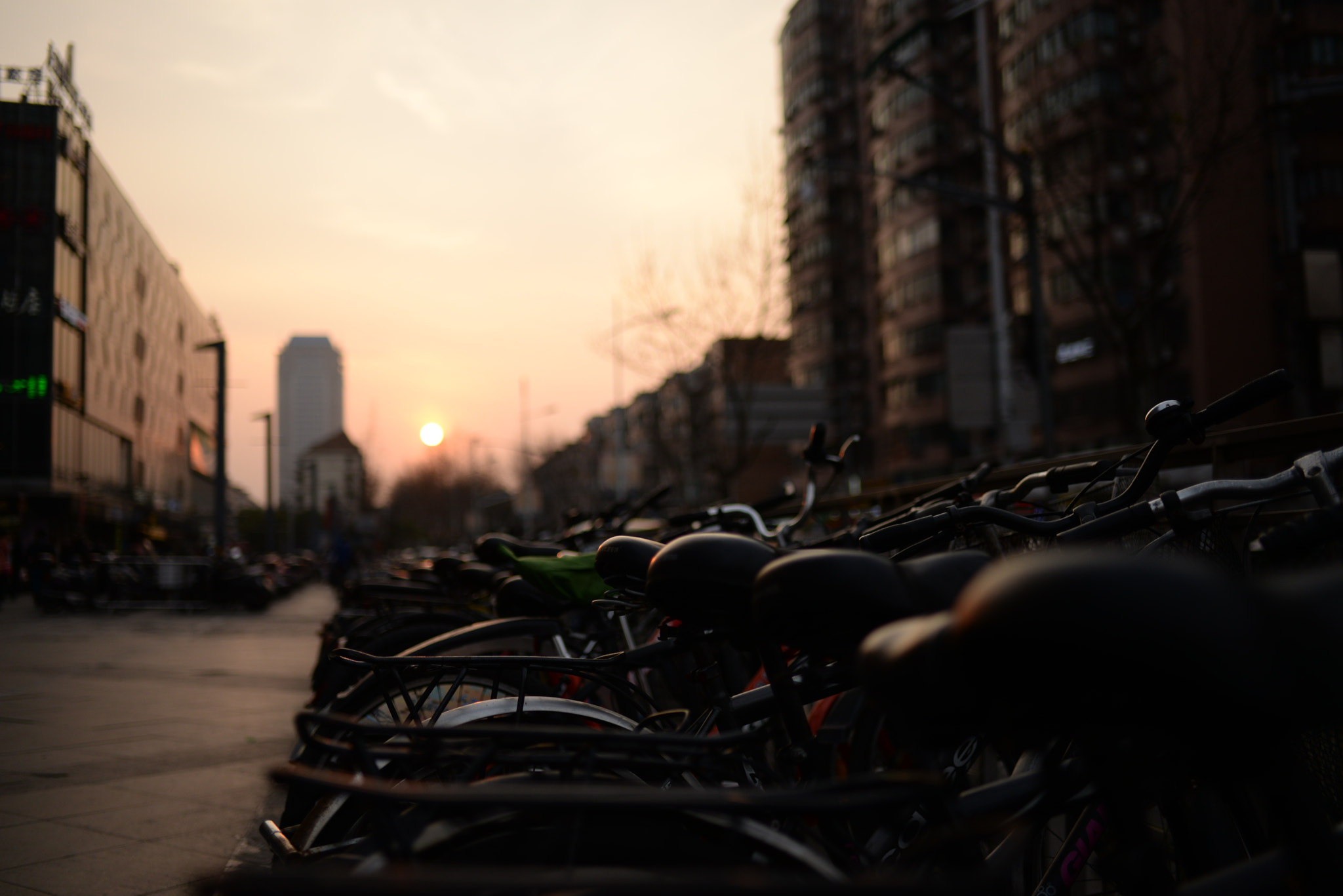 Nikon D610 + Nikon AF-S Nikkor 35mm F1.8G ED sample photo. 夕阳 photography